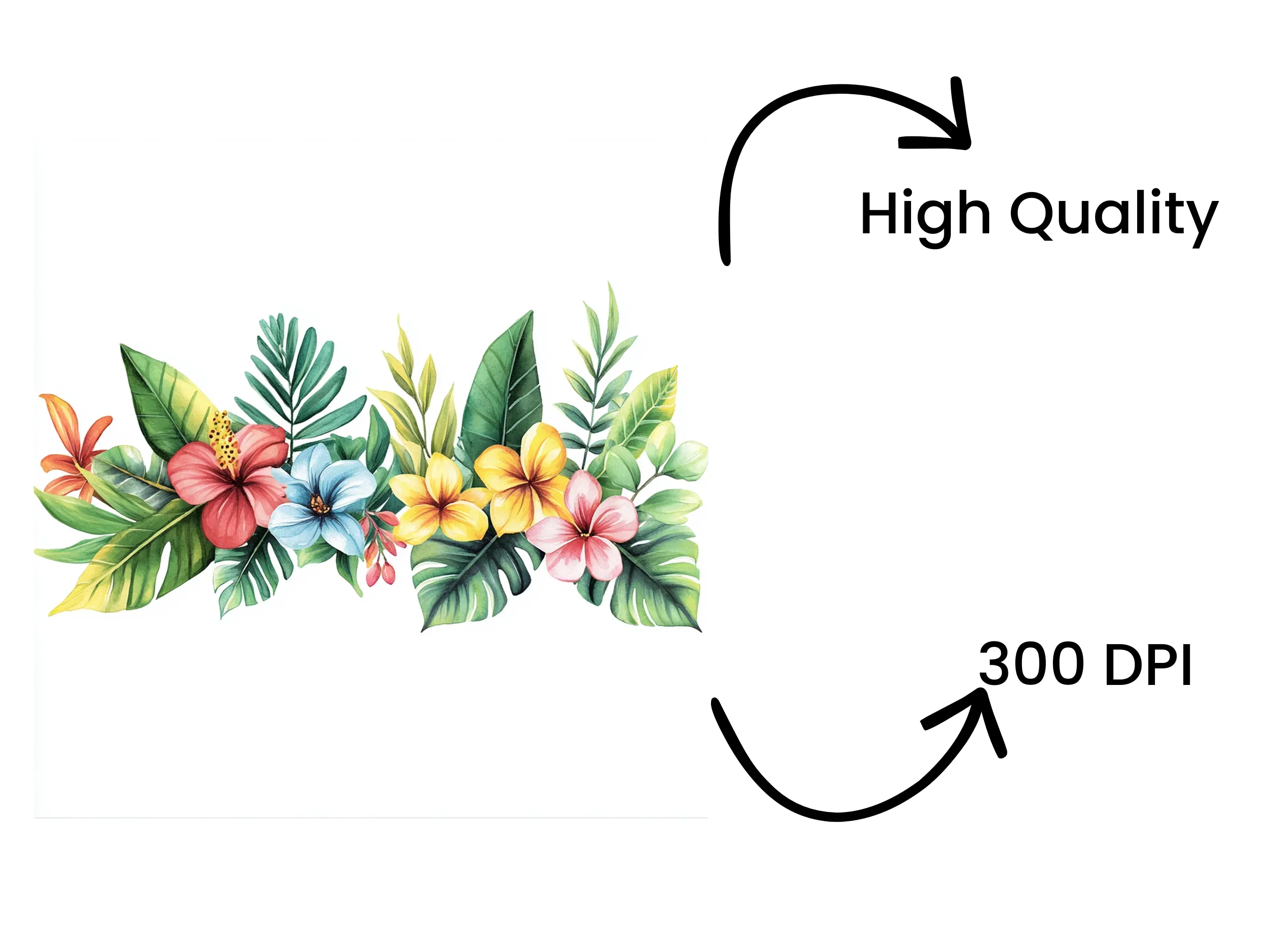 Tropical Flowers and Leaves Clipart Bundle - Image 4