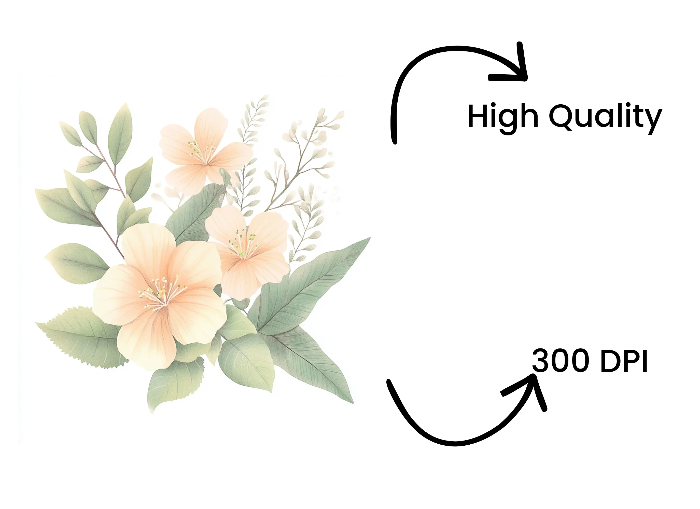 Tropical Hibiscus Clipart Bundle - Image 4