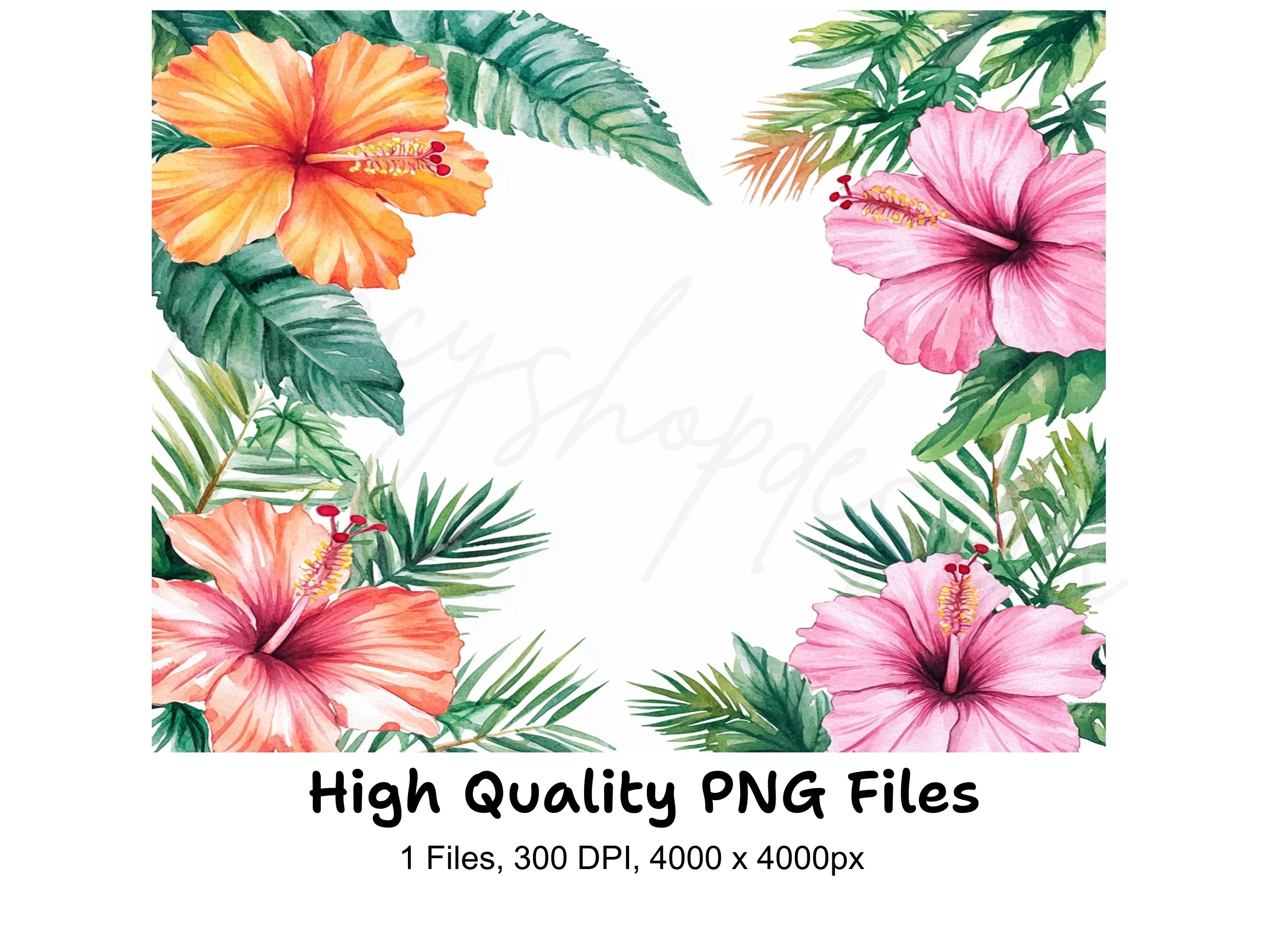 Tropical Hibiscus Frame Clipart Bundle
