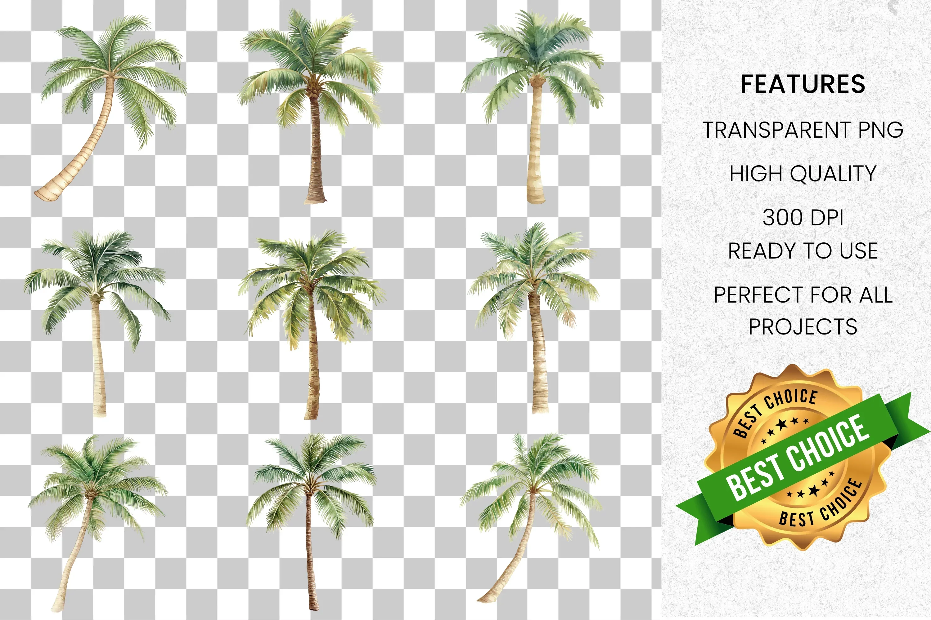 Tropical Palm Tree Clipart Bundle - Image 2