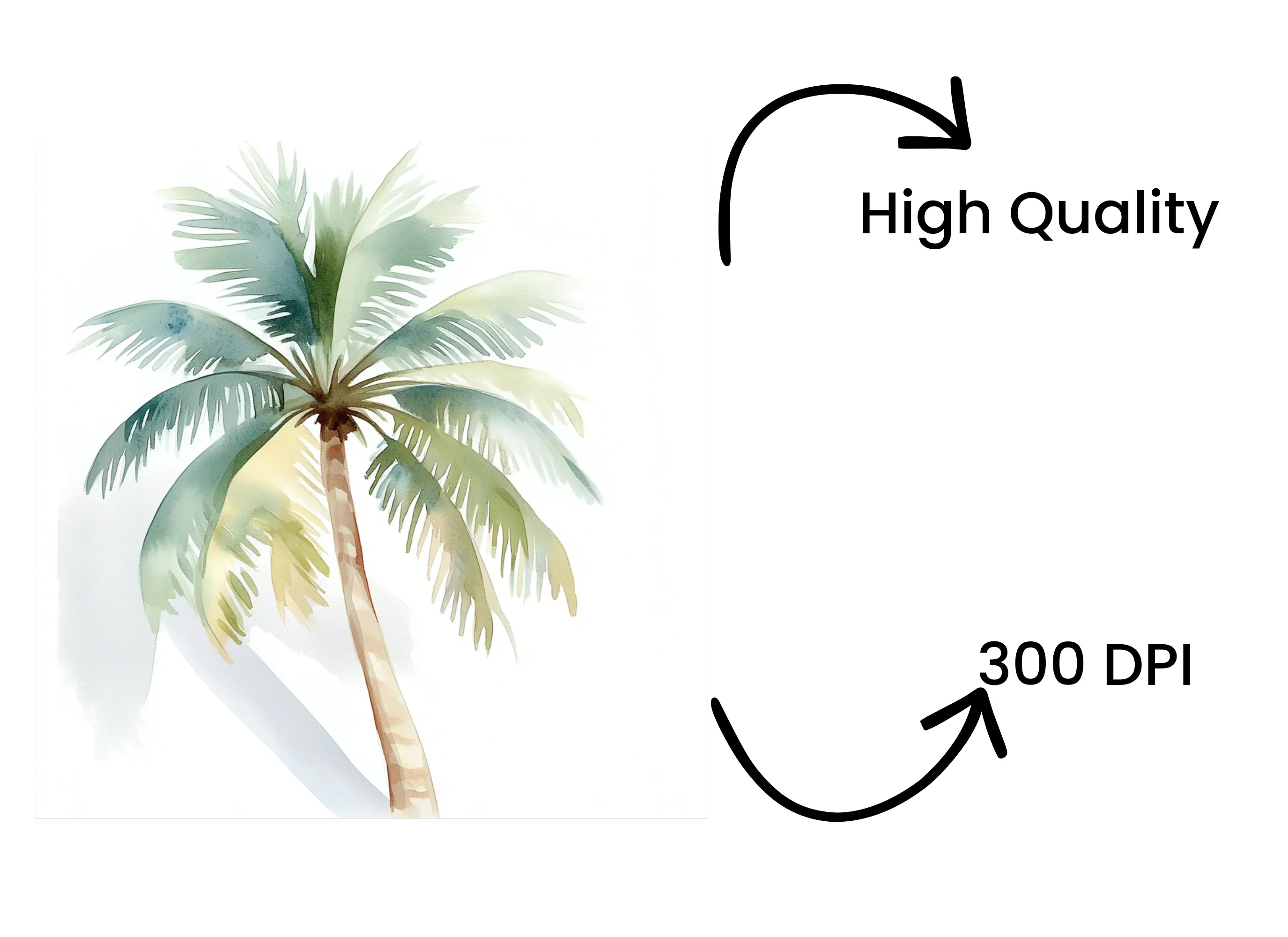 Tropical Palm Trees Clipart Bundle - Image 4