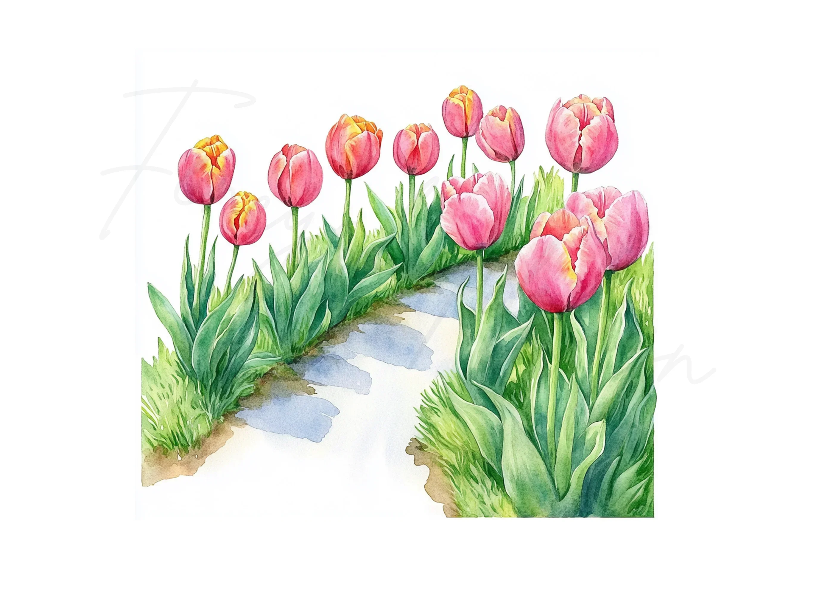 Tulip Garden Path Clipart Bundle - Image 2