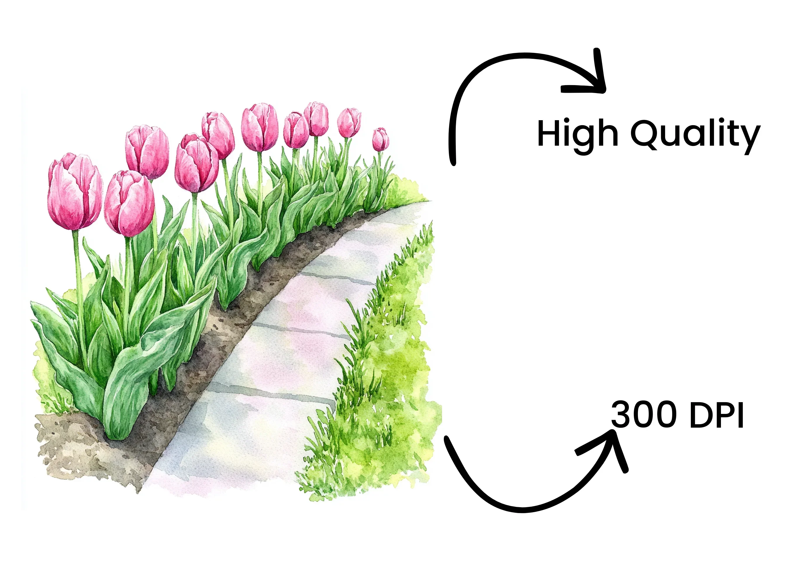 Tulip Garden Path Clipart Bundle - Image 4