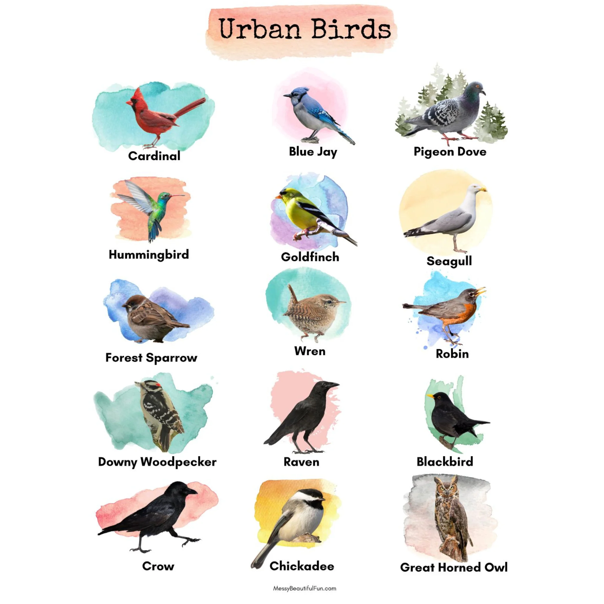 Urban Birds Unit Study for City Kids - Image 2