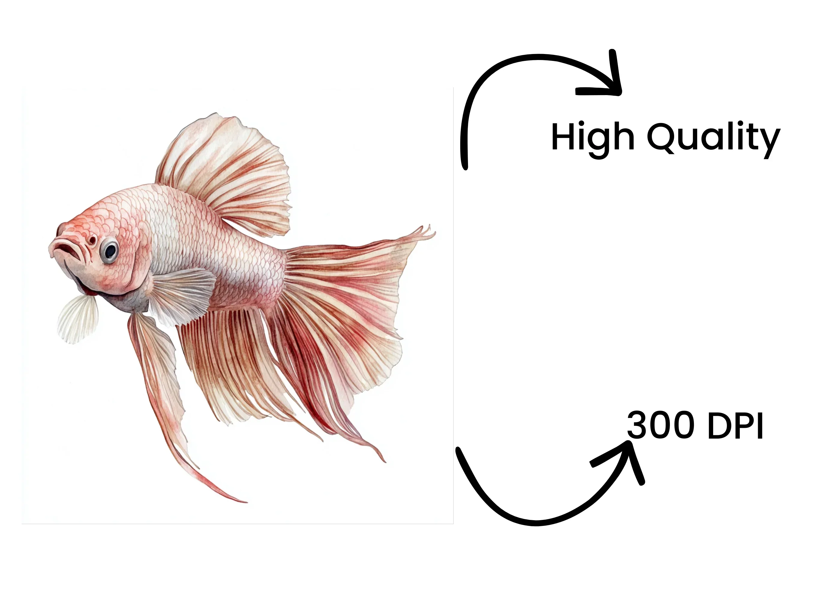 Vibrant Betta Fish Clipart Bundle - Image 4