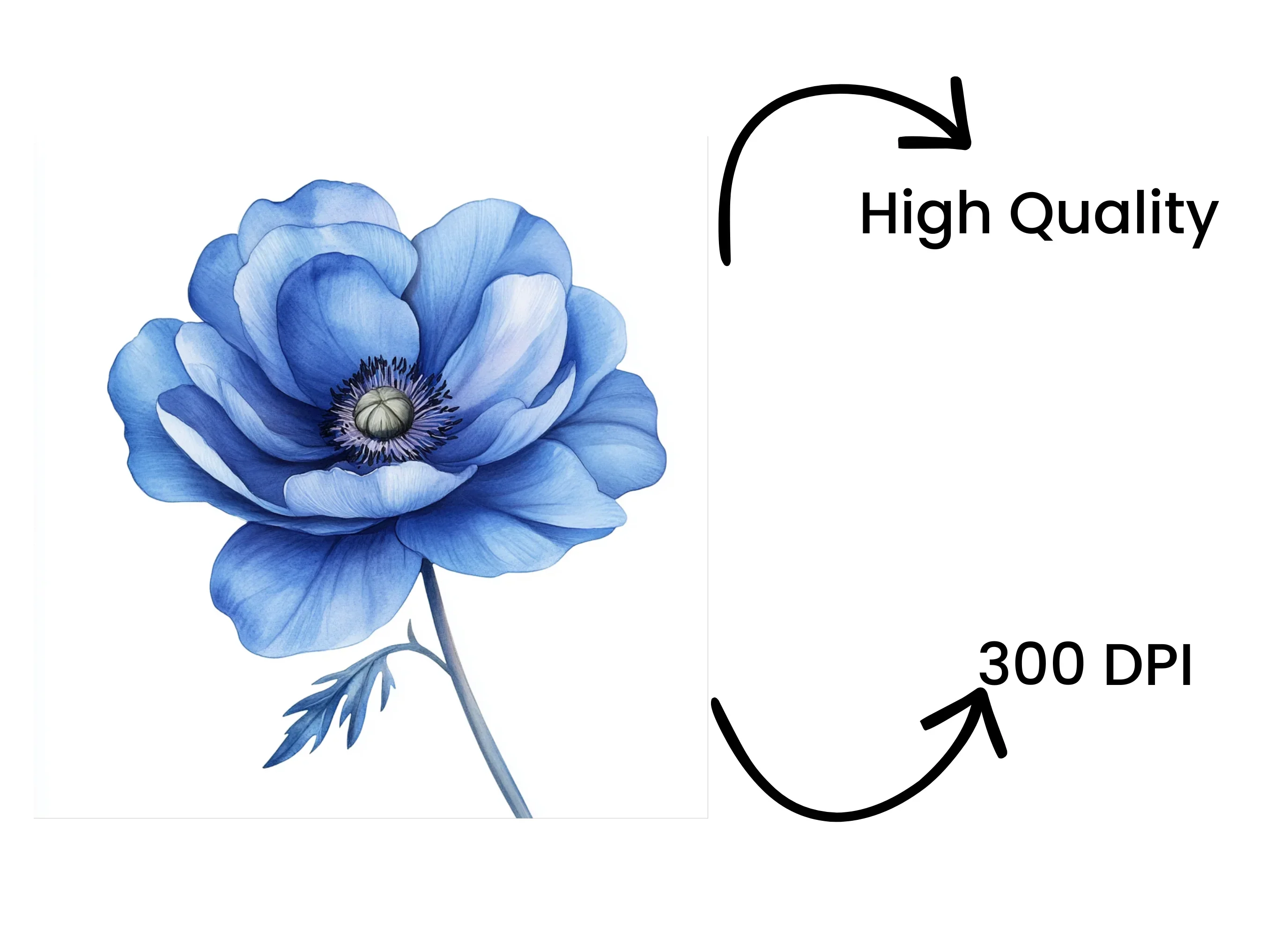 Vibrant Blue Anemone Flower Clipart Bundle - Image 4