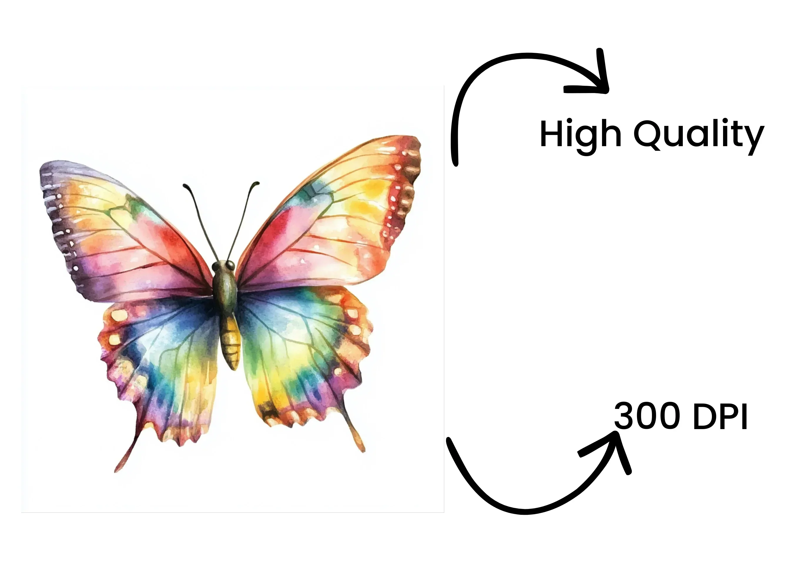 Vibrant Butterfly Clipart Bundle - Image 4