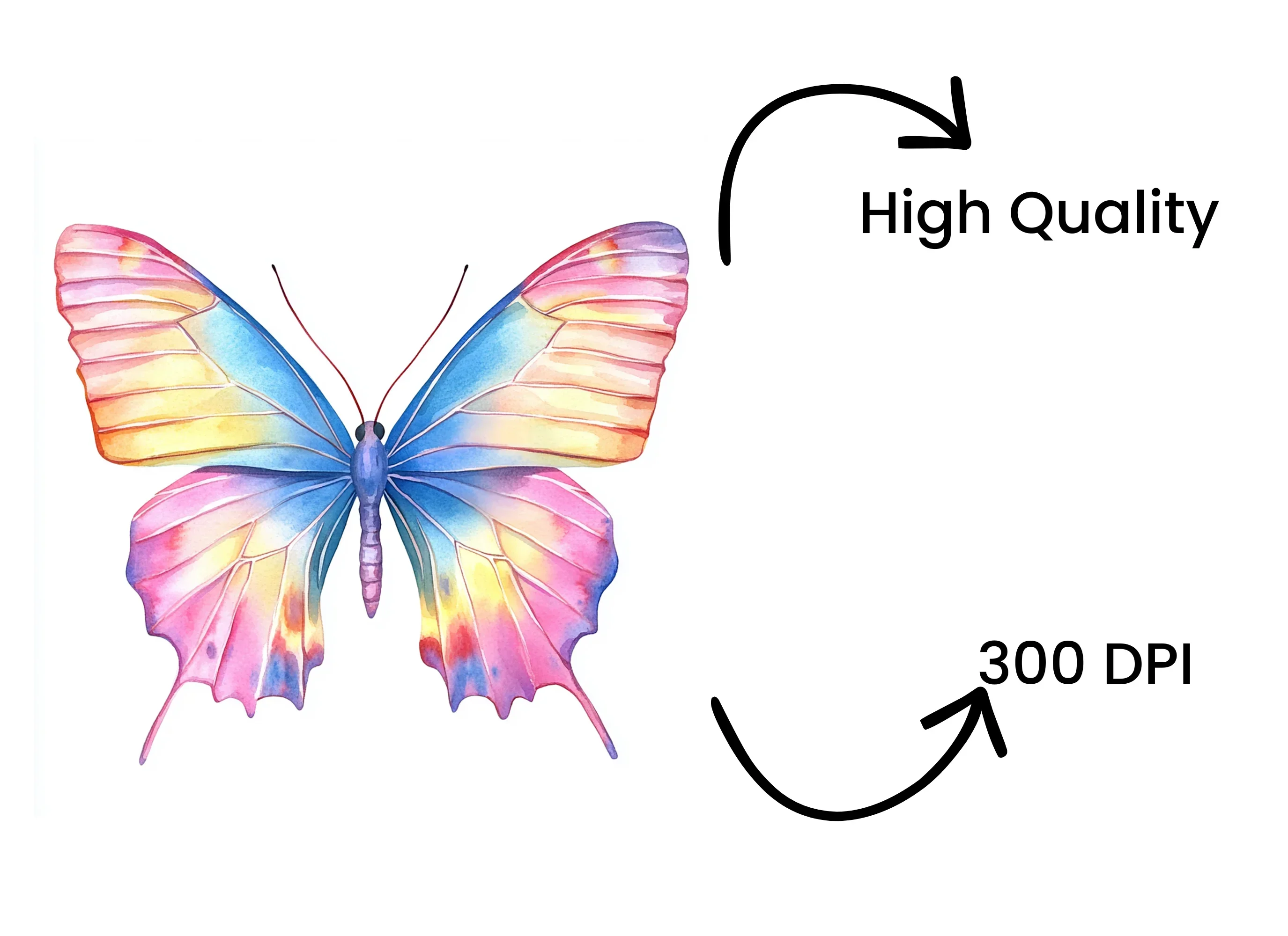 Vibrant Butterfly Clipart Bundle - Image 4