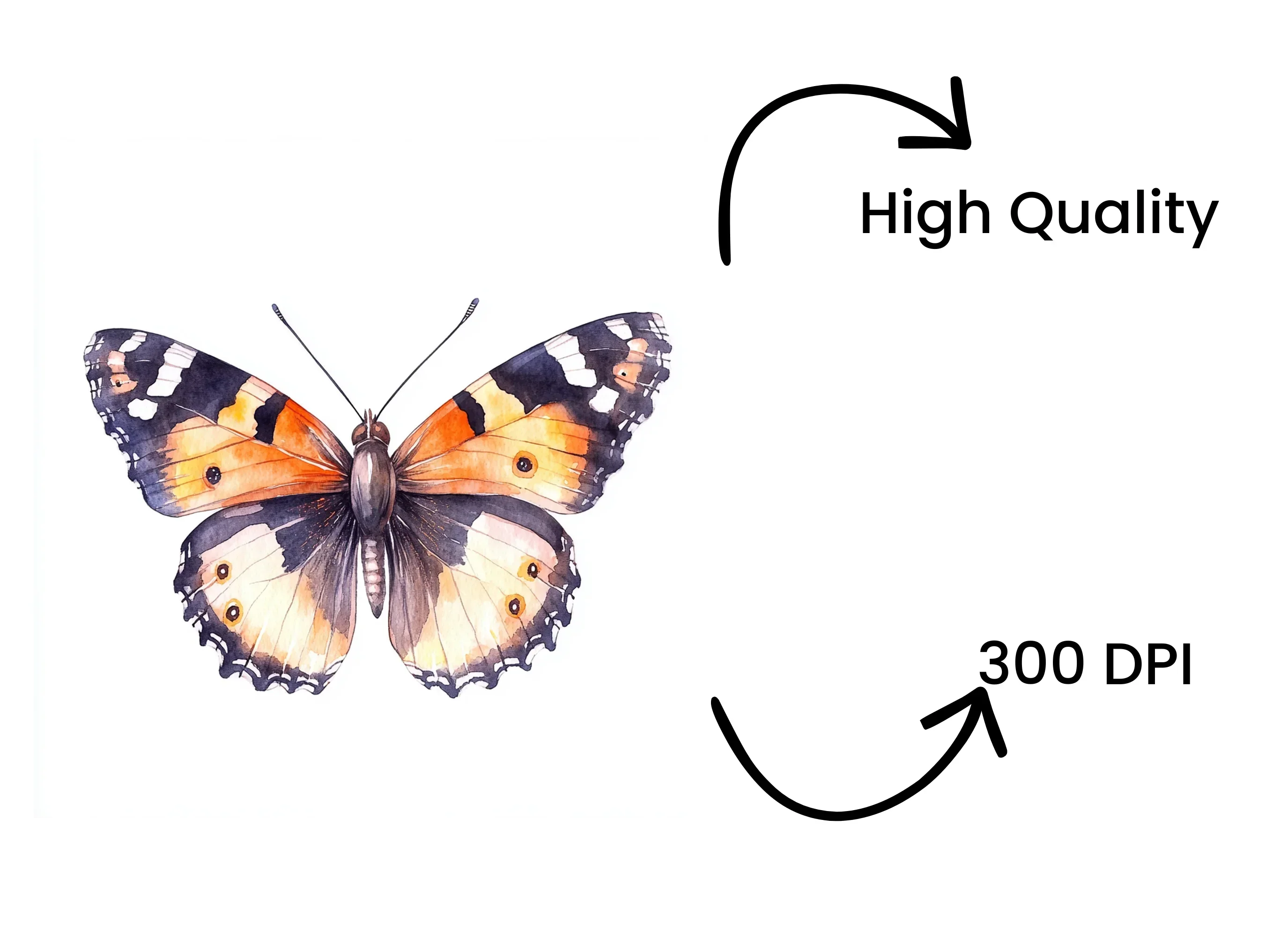 Vibrant Butterfly Clipart Bundle - Image 4