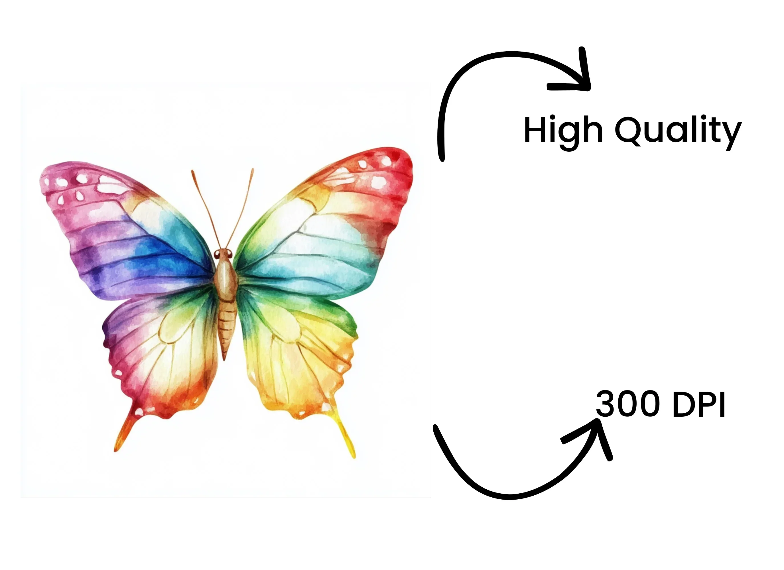 Vibrant Butterfly Clipart Bundle - Image 4