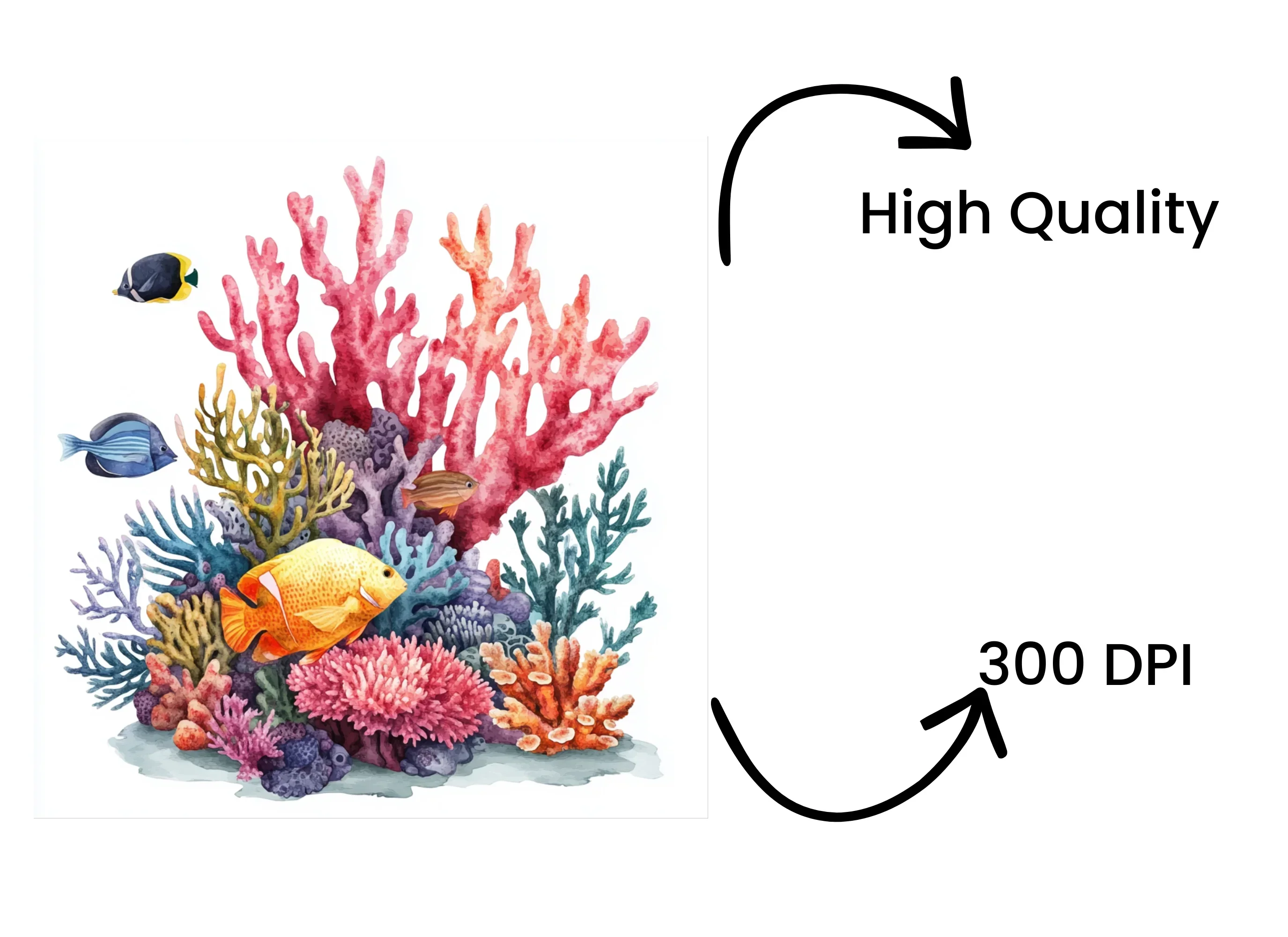 Vibrant Coral Reef Clipart Bundle - Image 4