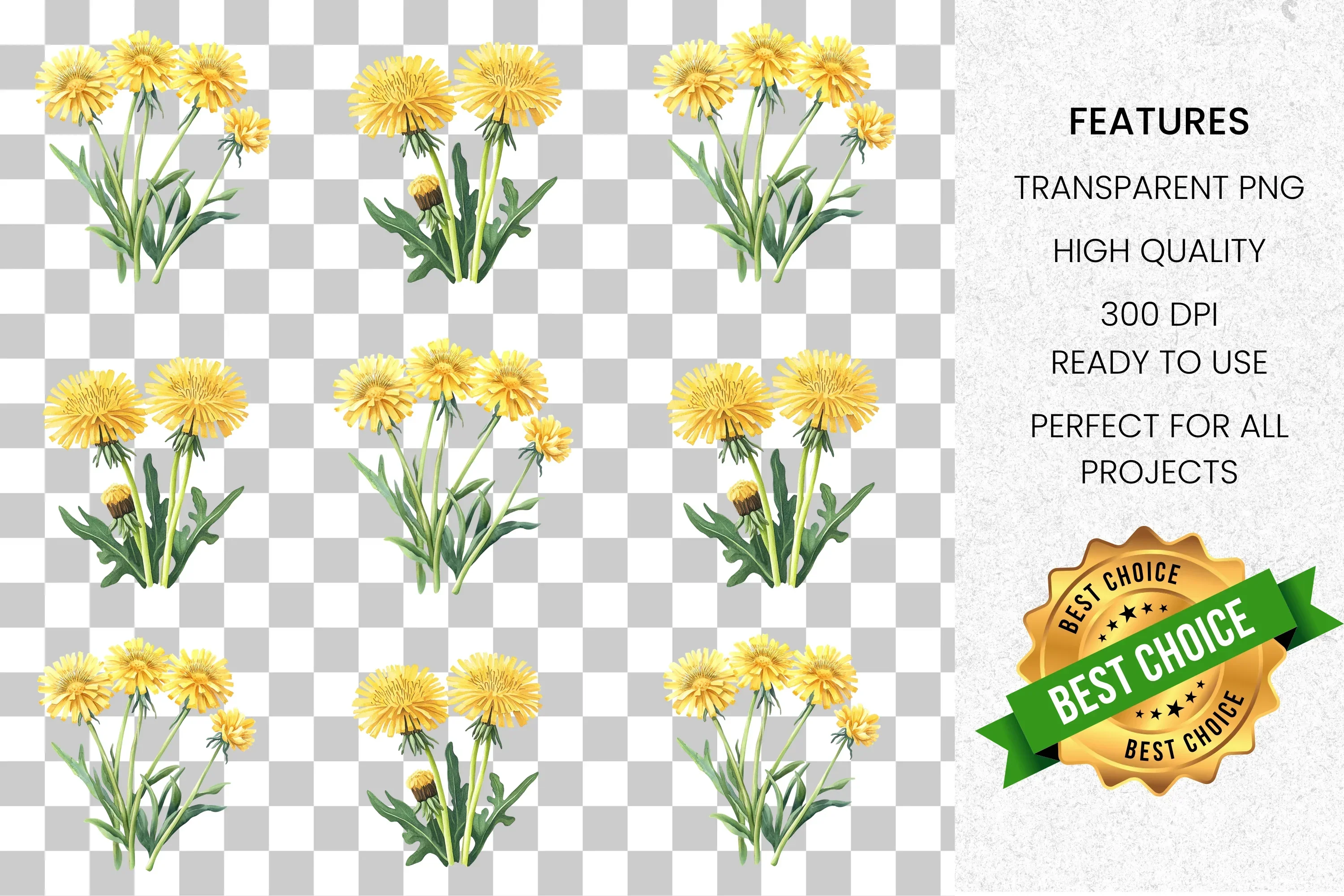Vibrant Dandelion Clipart Bundle - Image 8