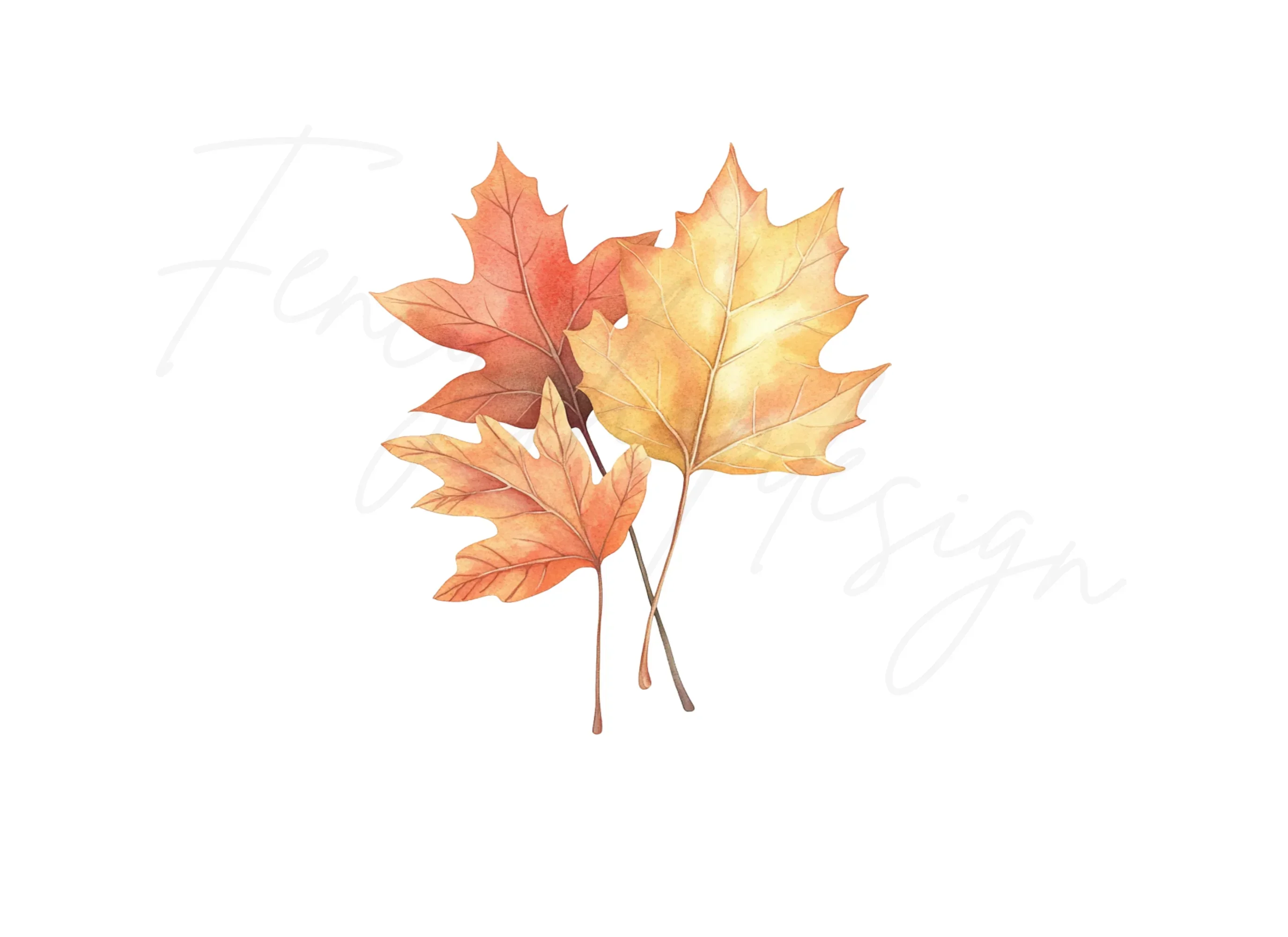 Vibrant Fall Maple Leaves Clipart Bundle - Image 2