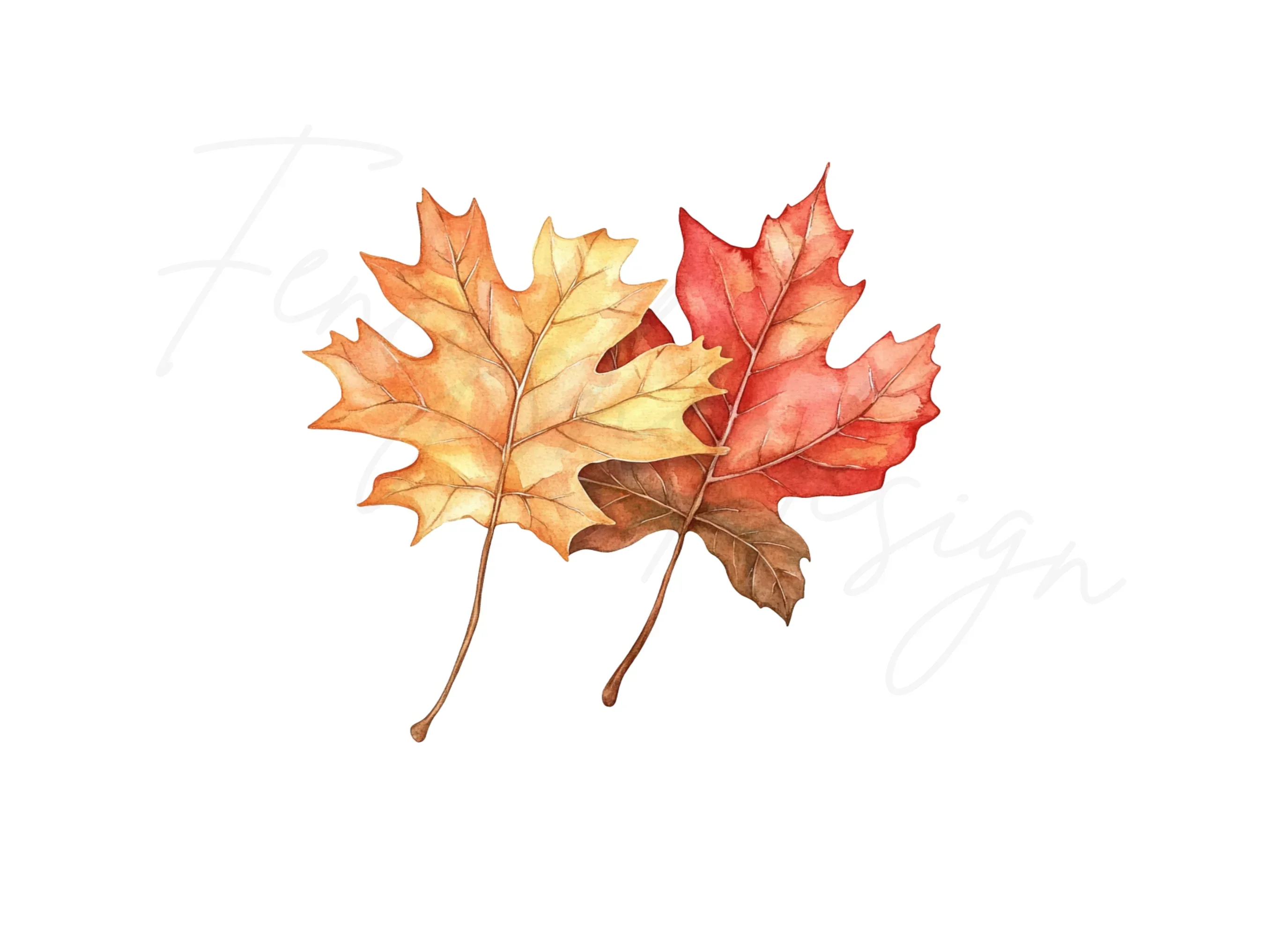 Vibrant Fall Maple Leaves Clipart Bundle - Image 3