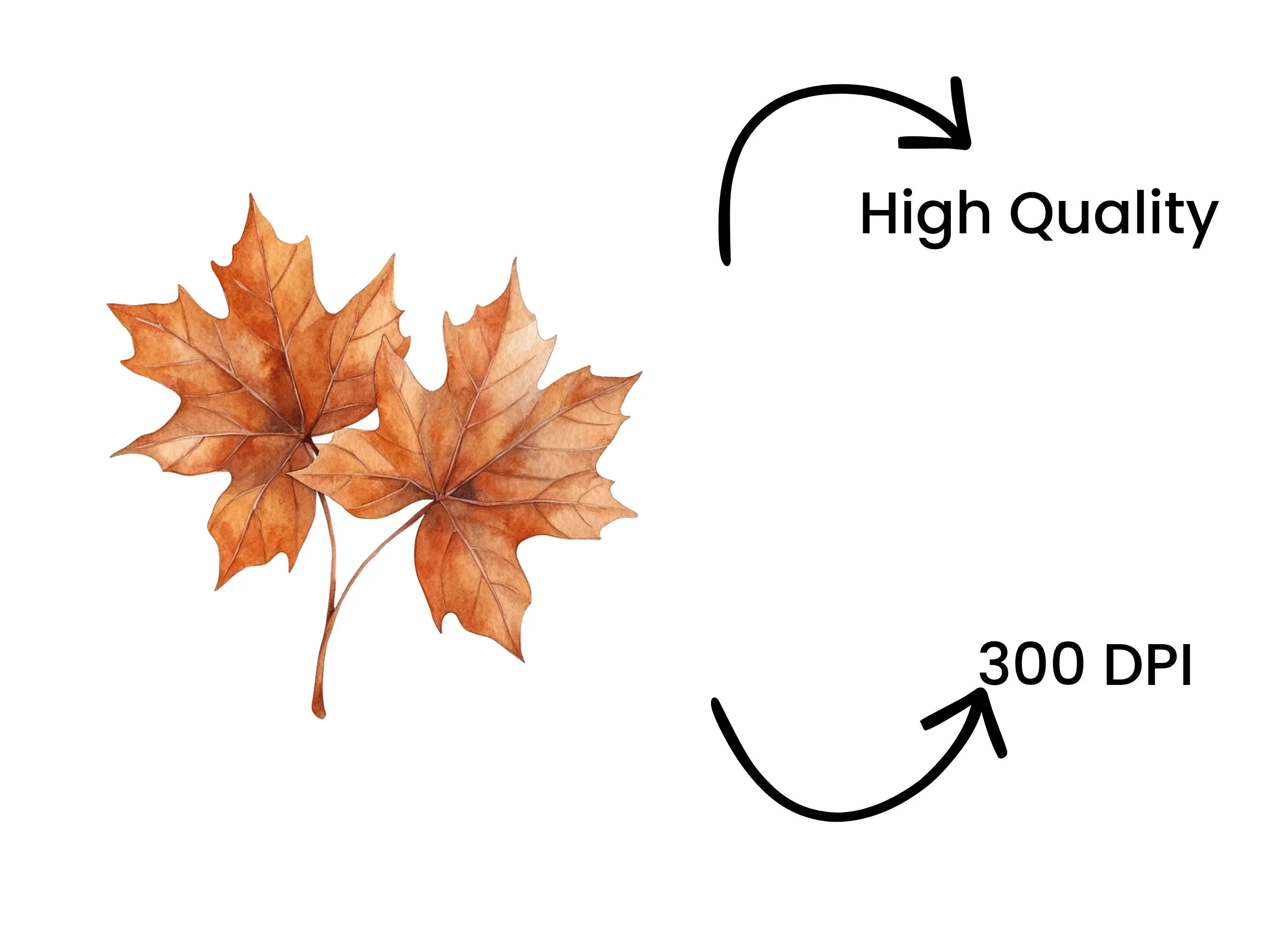 Vibrant Fall Maple Leaves Clipart Bundle - Image 4