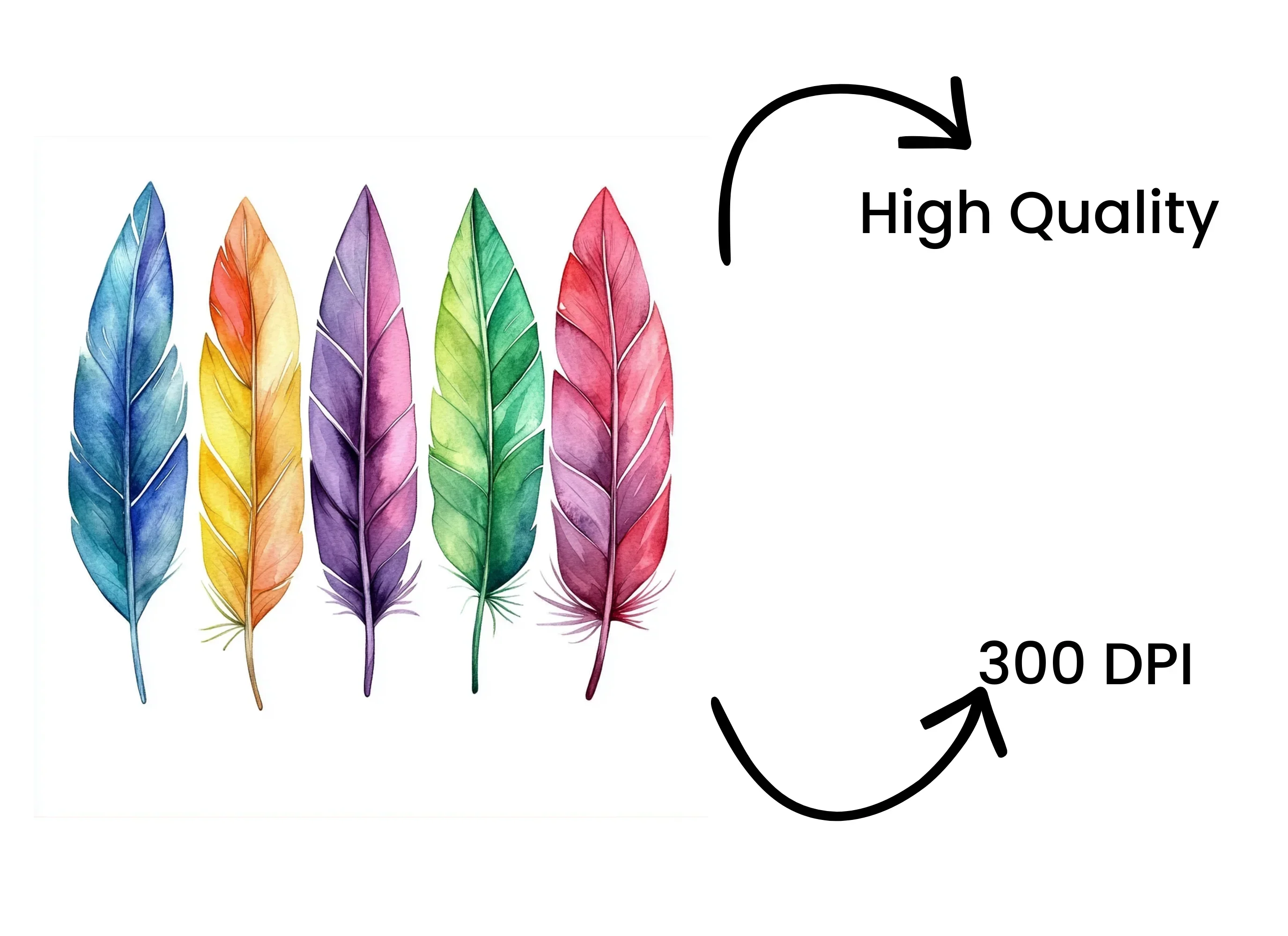 Vibrant Feather Clipart Bundle - Image 4