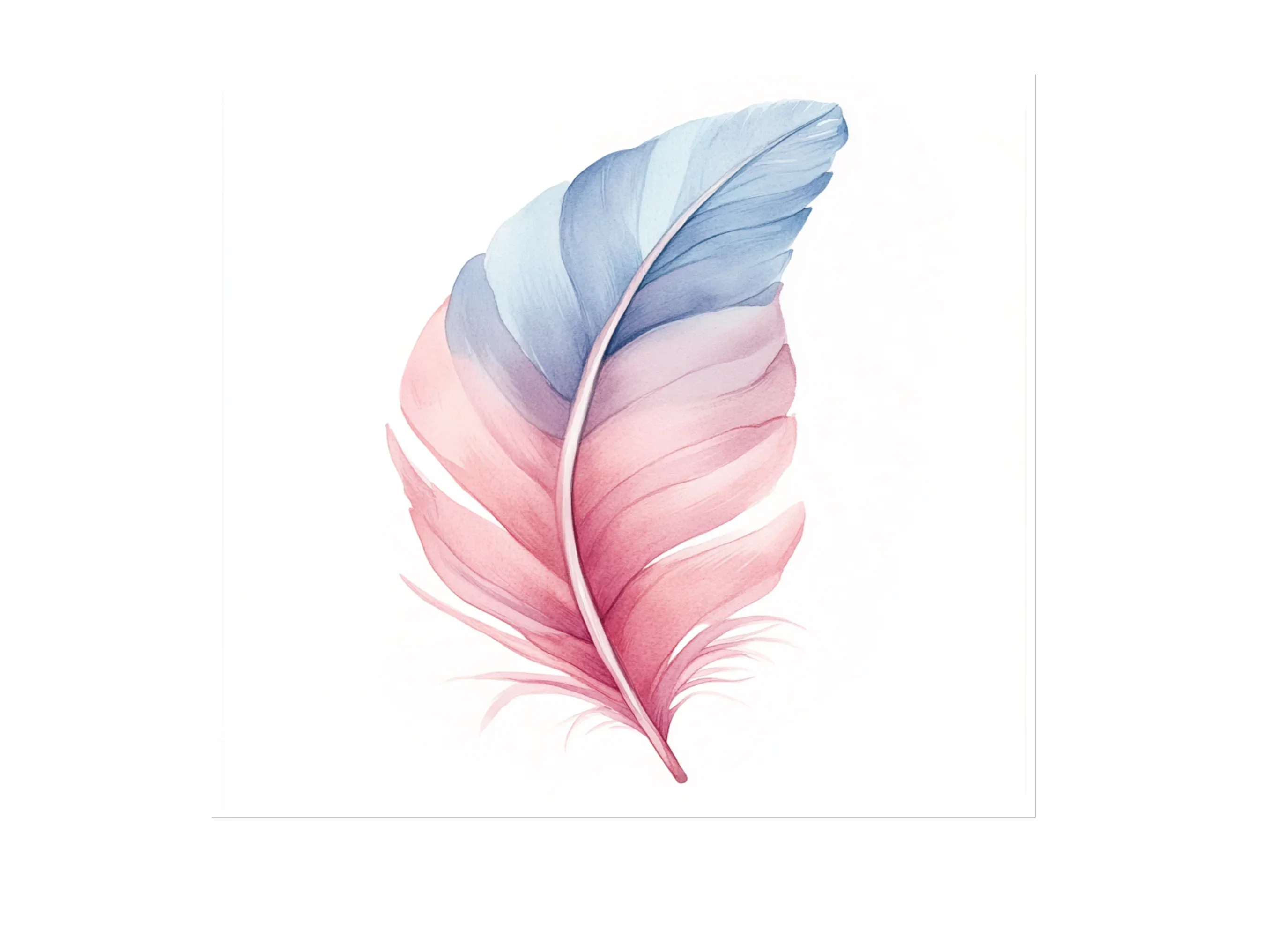 Vibrant Feather Illustrations Clipart Bundle - Image 2