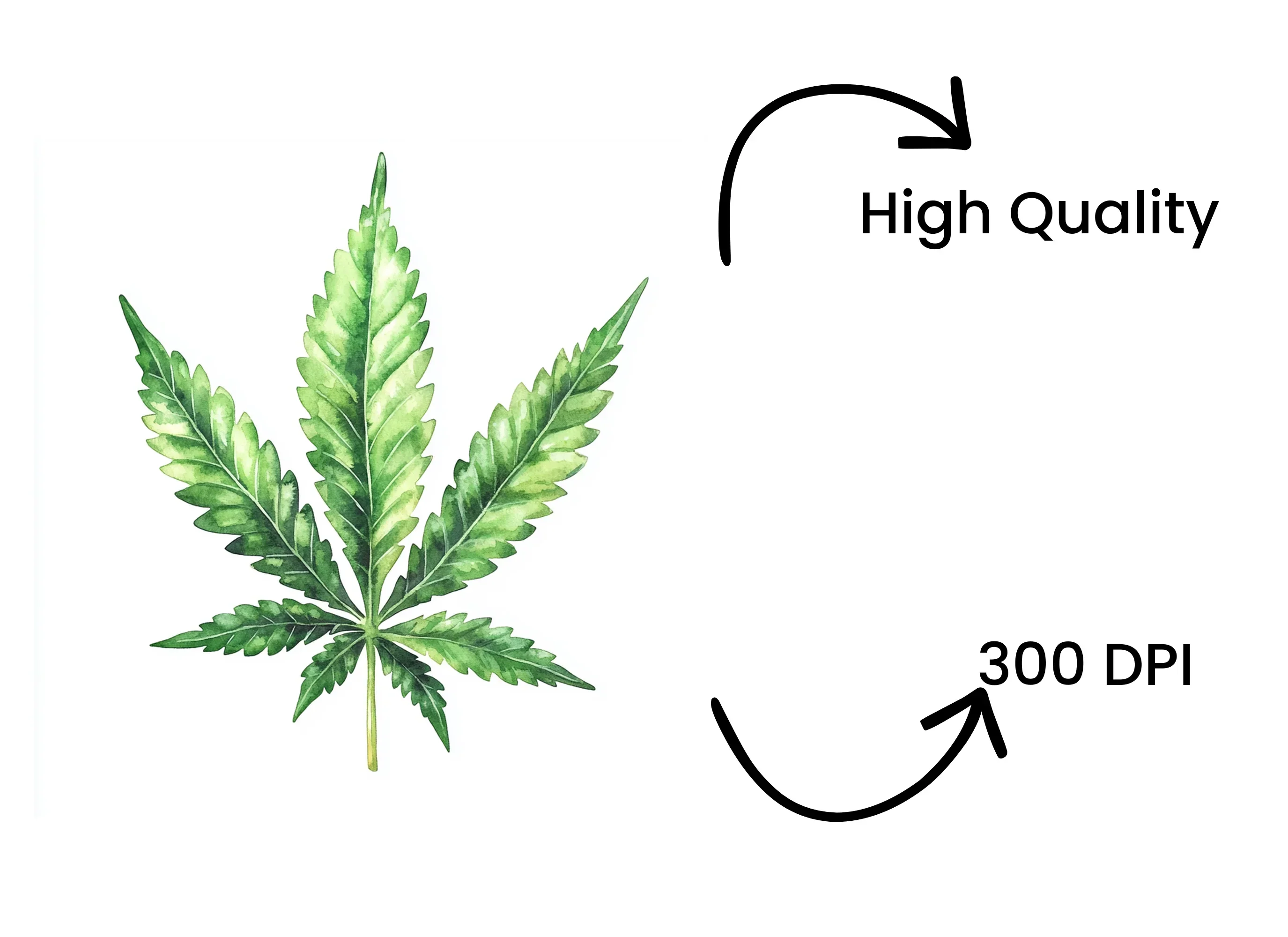 Vibrant Green Marijuana Leaf Clipart Bundle - Image 4