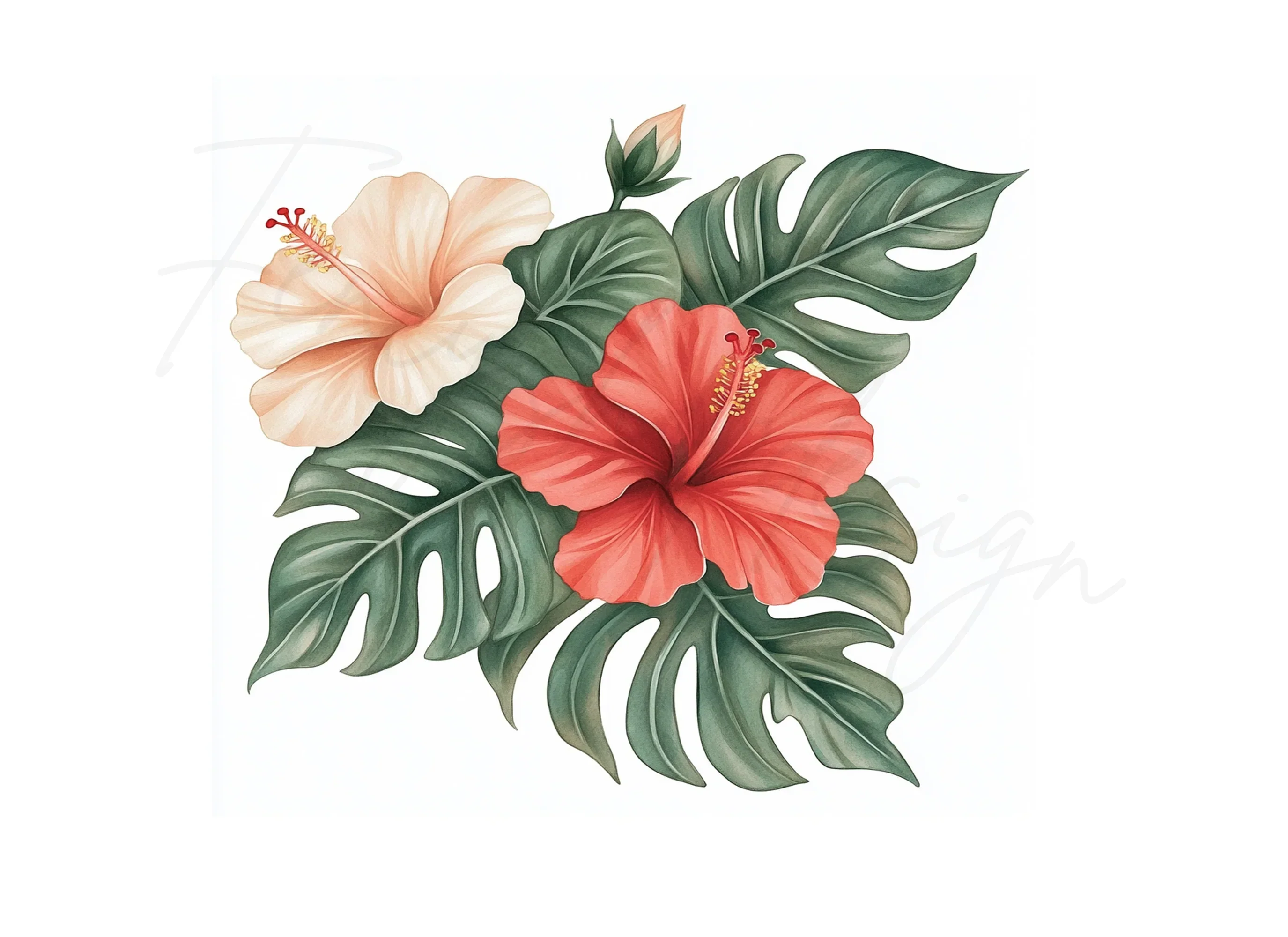 Vibrant Hibiscus Monstera Leaf Clipart Bundle - Image 3