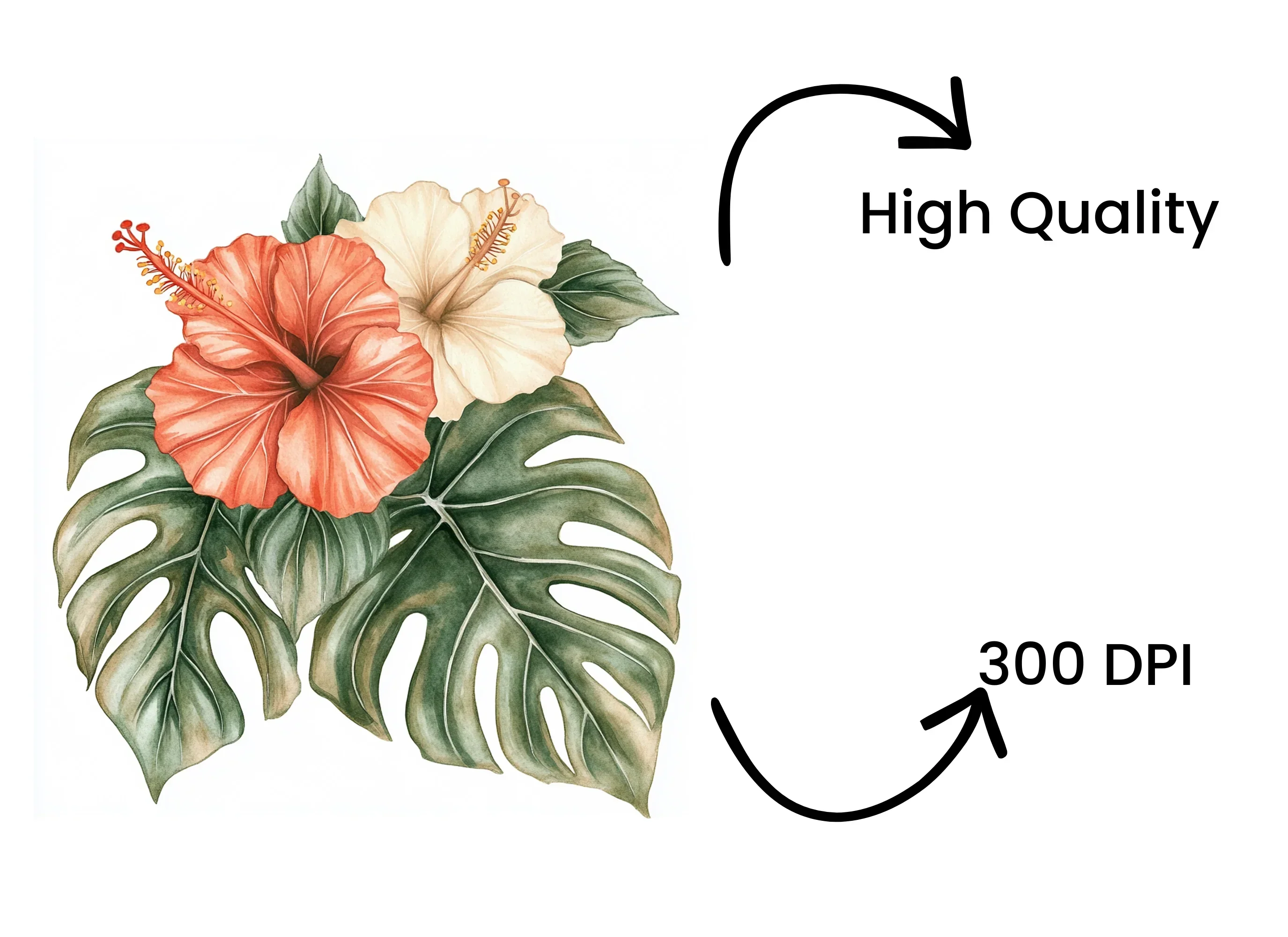 Vibrant Hibiscus Monstera Leaf Clipart Bundle - Image 4