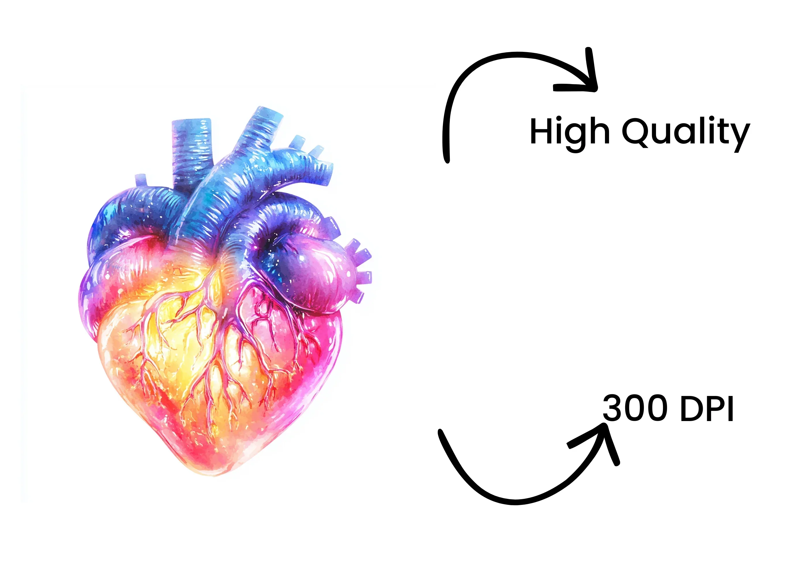 Vibrant Human Heart Clipart Bundle - Image 4