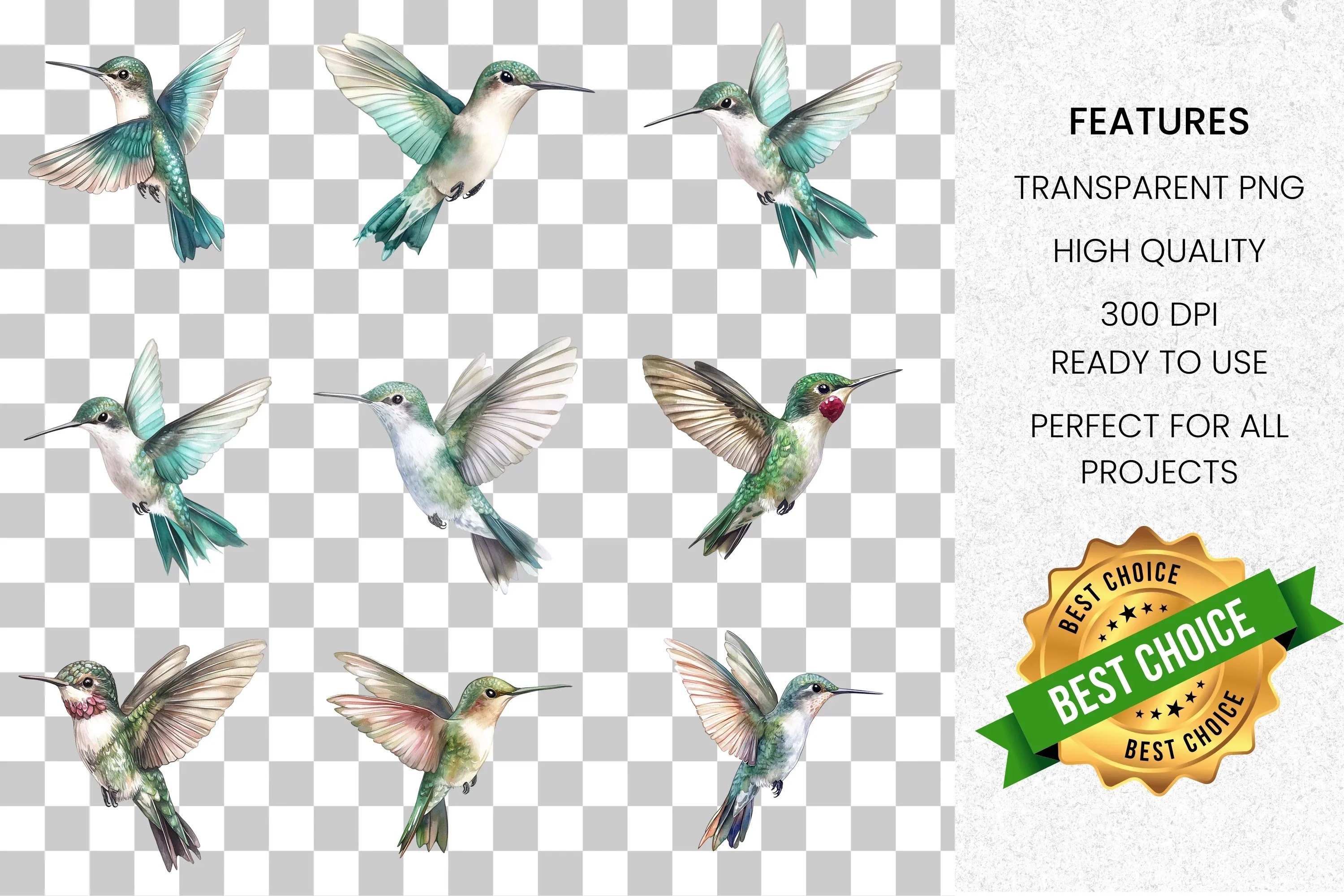 Vibrant Hummingbird Clipart Bundle - Image 2