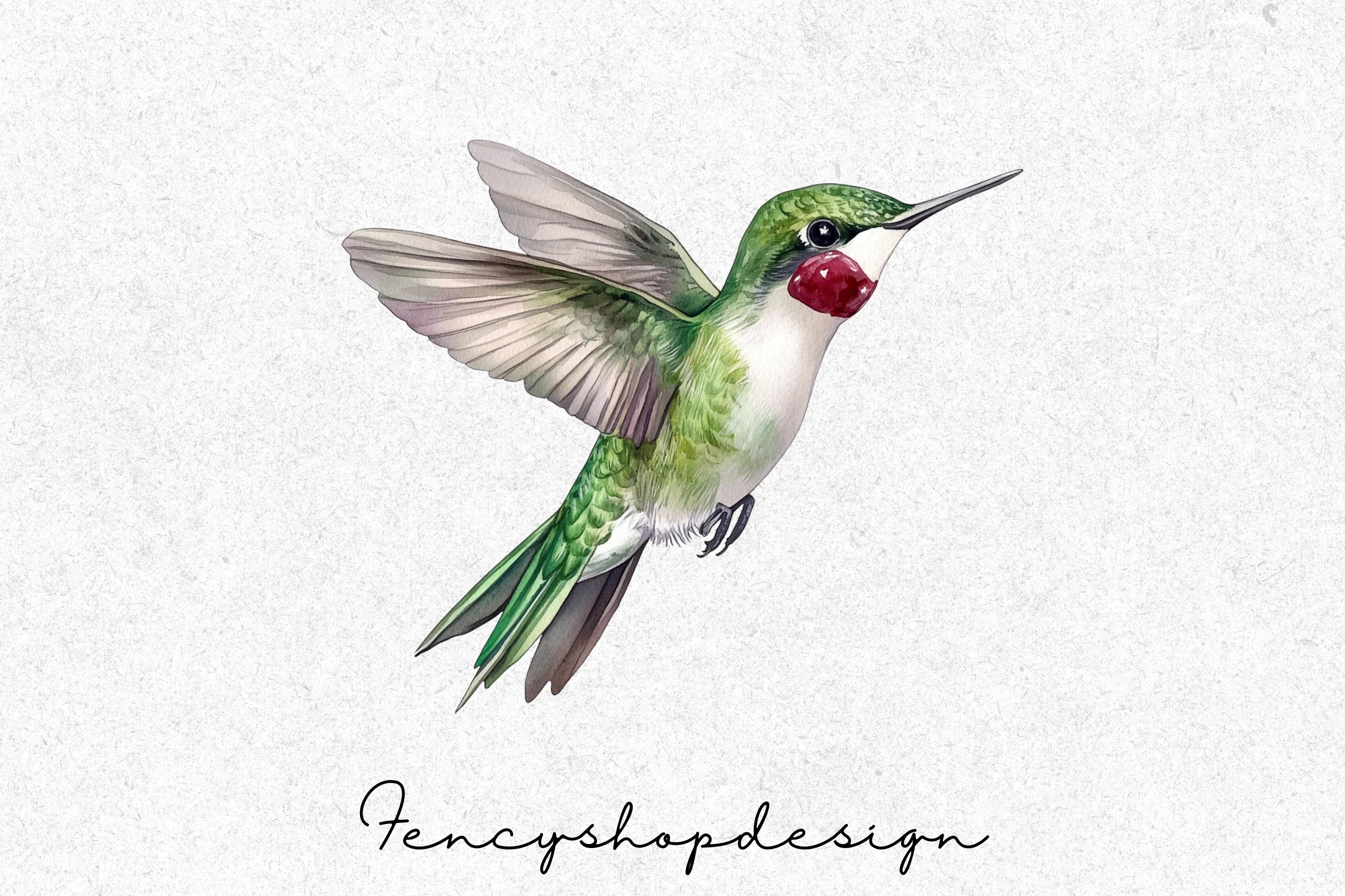 Vibrant Hummingbird Clipart Bundle - Image 4