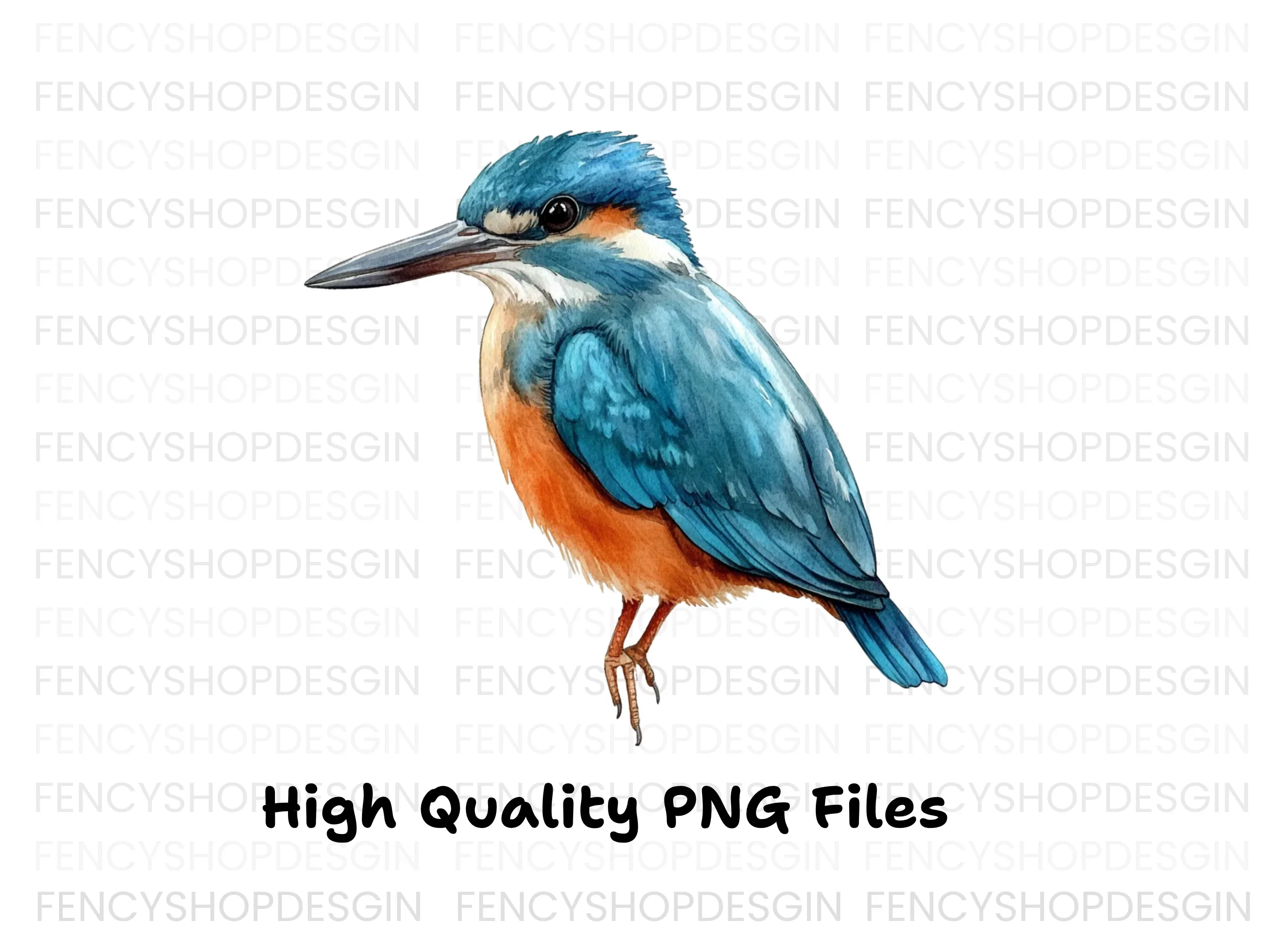 Vibrant Kingfisher Clipart Bundle - Image 3