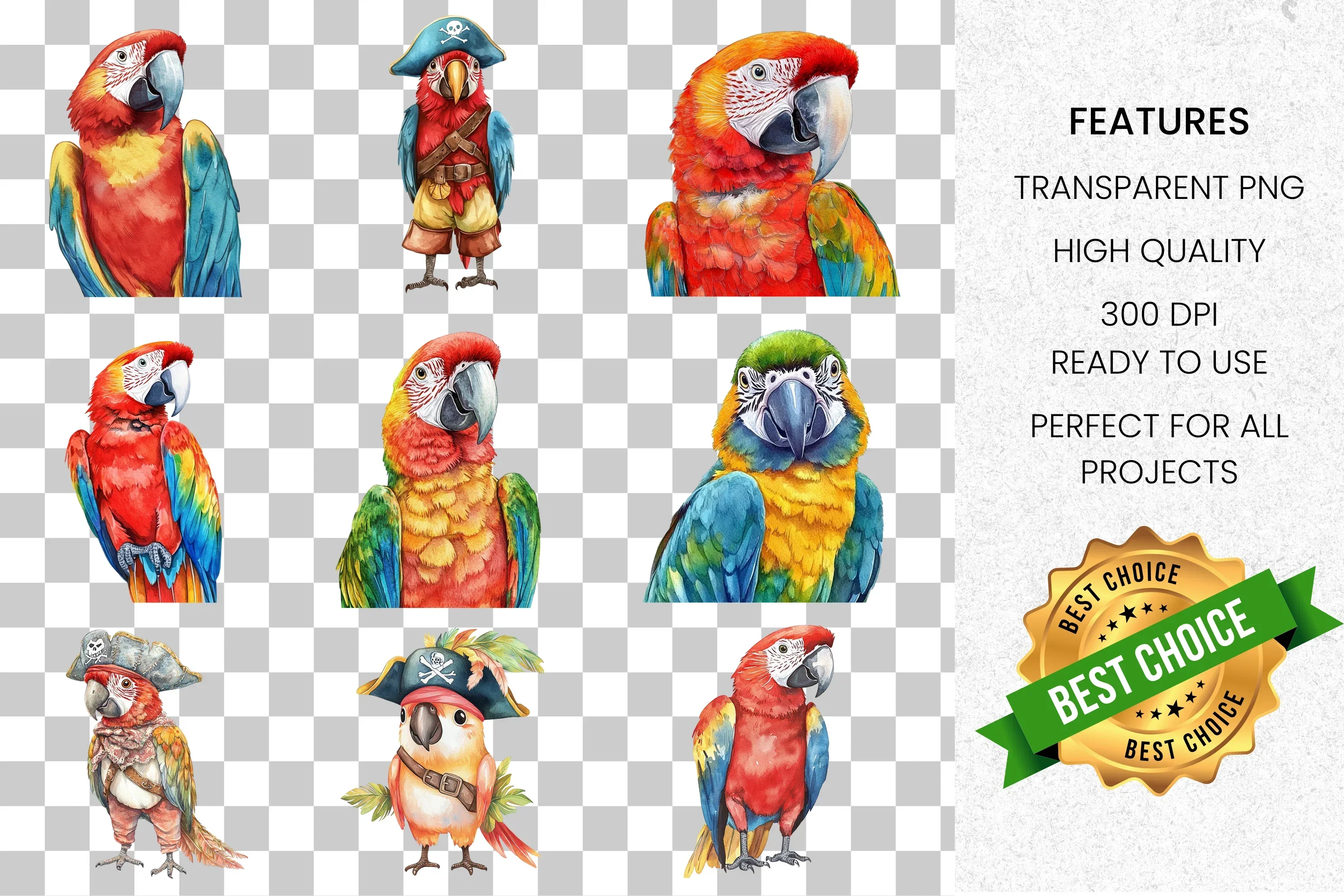 Vibrant Macaw Parrot Clipart Bundle - Image 2