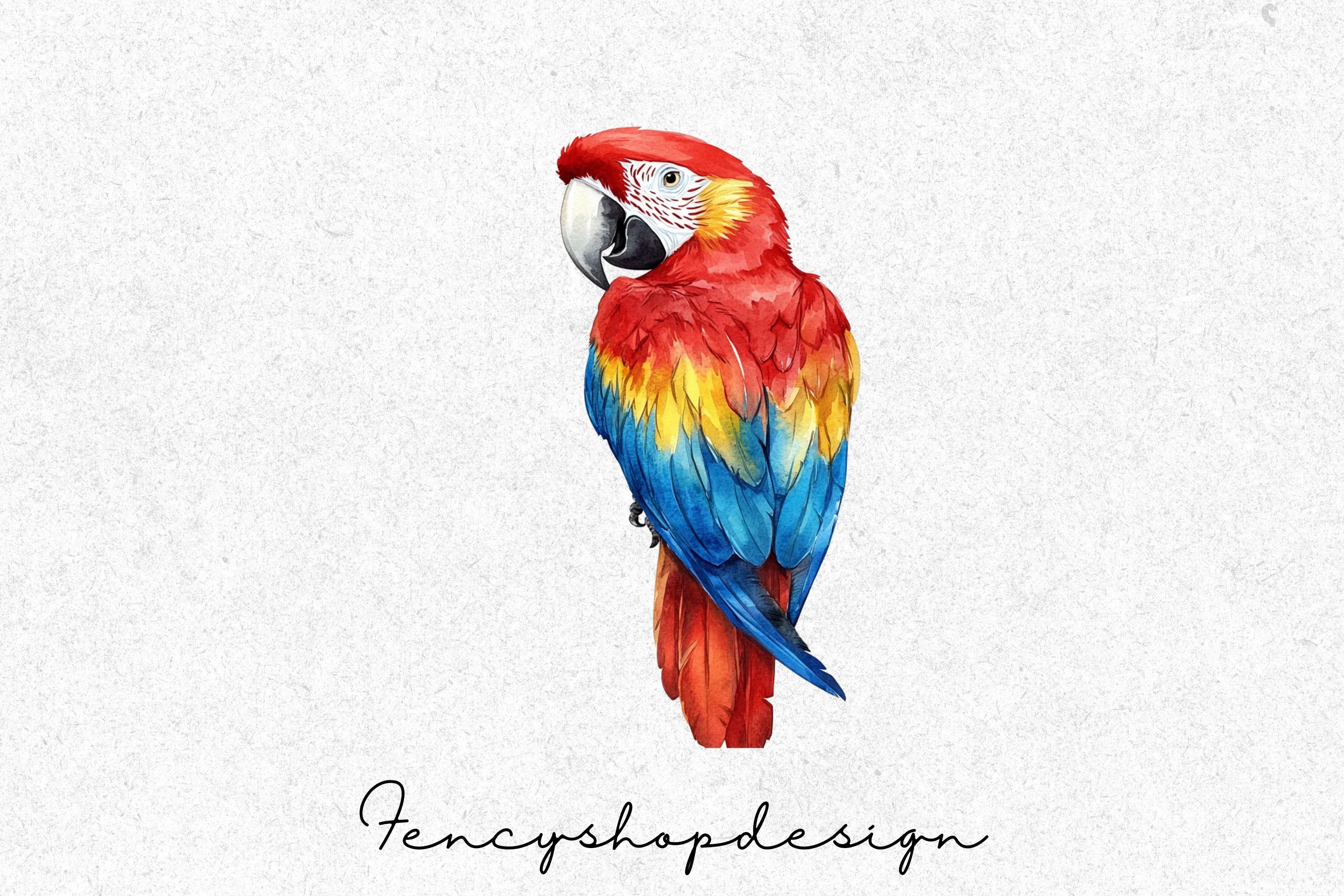 Vibrant Macaw Parrot Clipart Bundle - Image 3