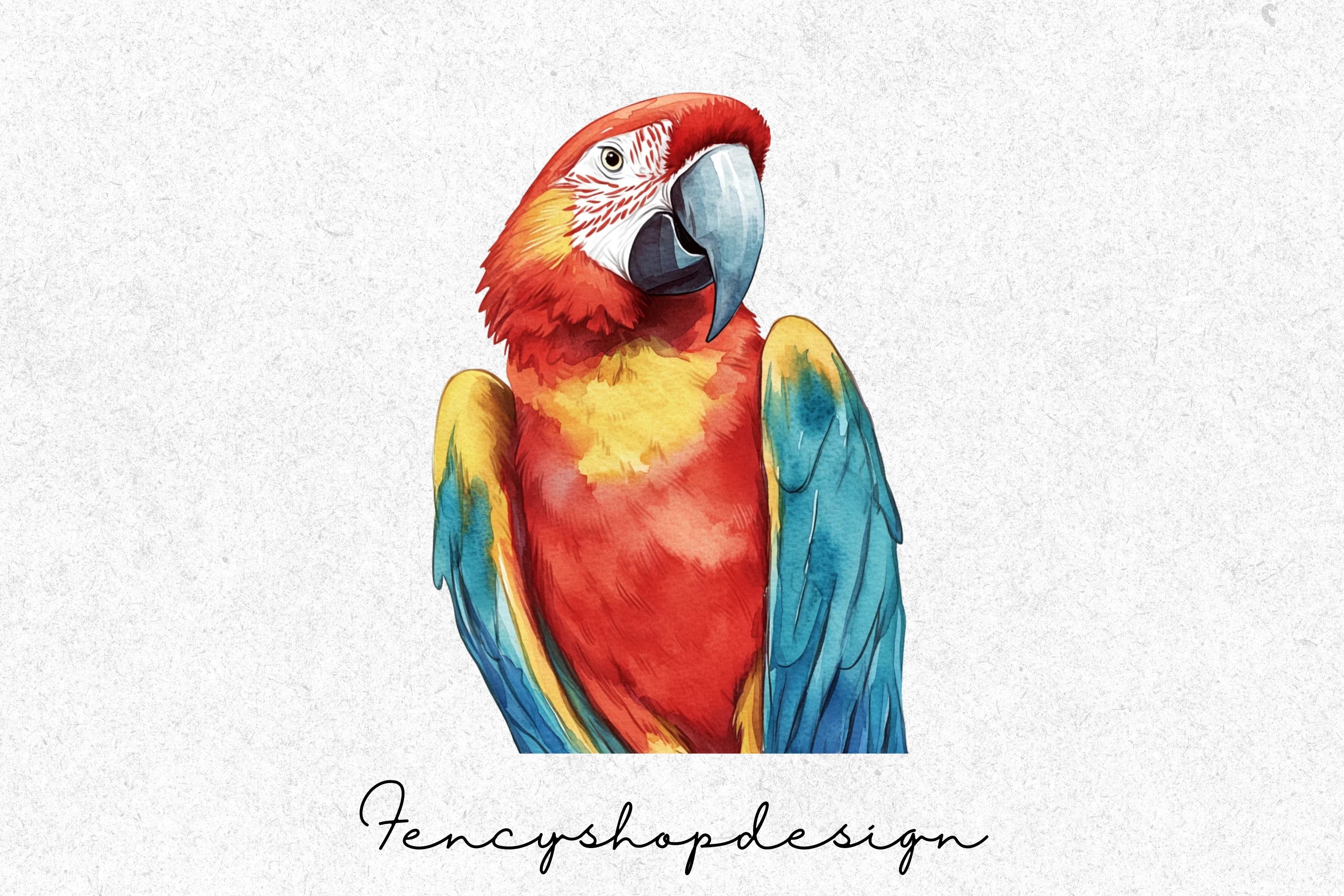 Vibrant Macaw Parrot Clipart Bundle - Image 4