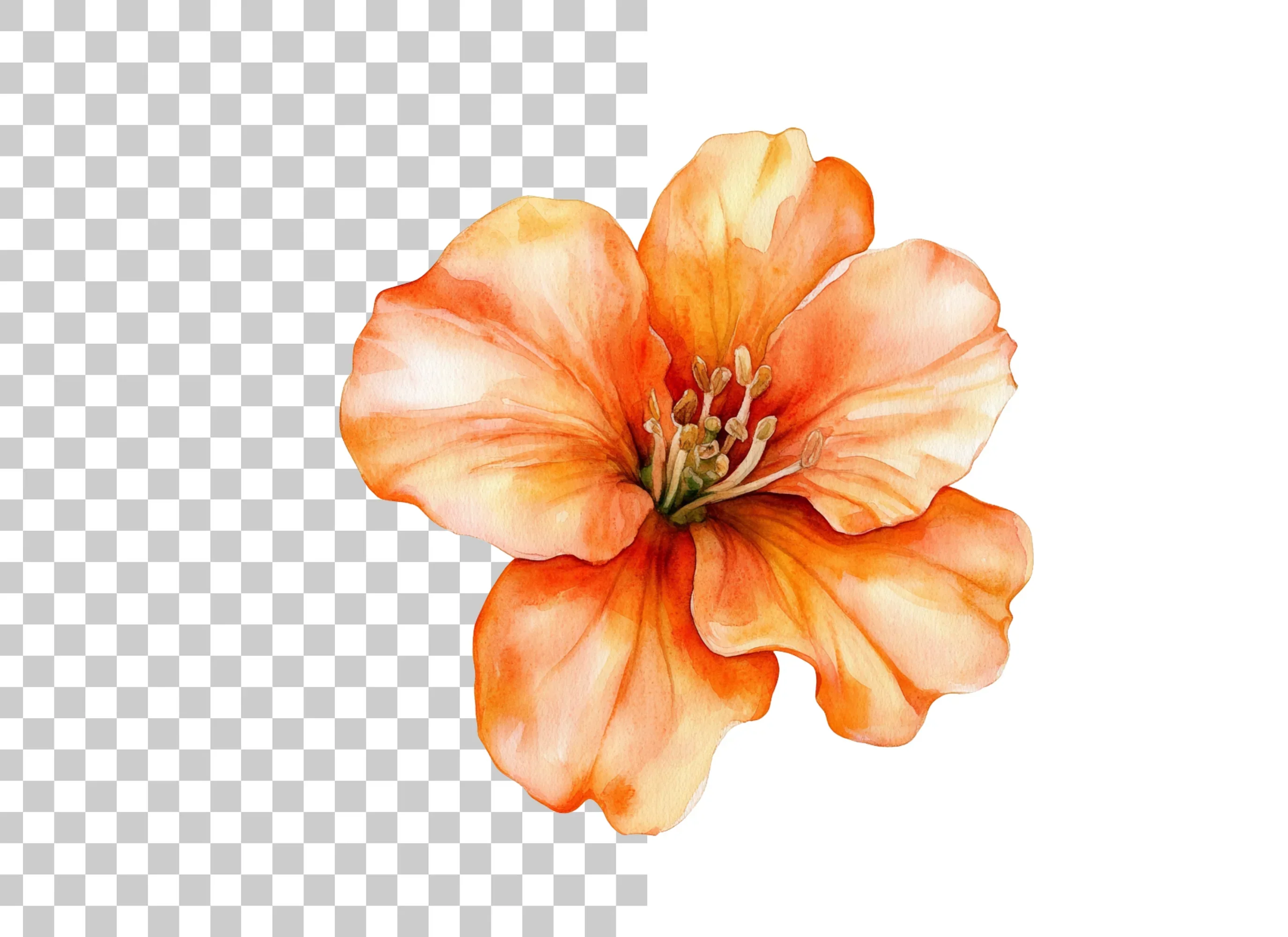 Vibrant Orange Flower Clipart Bundle - Image 2