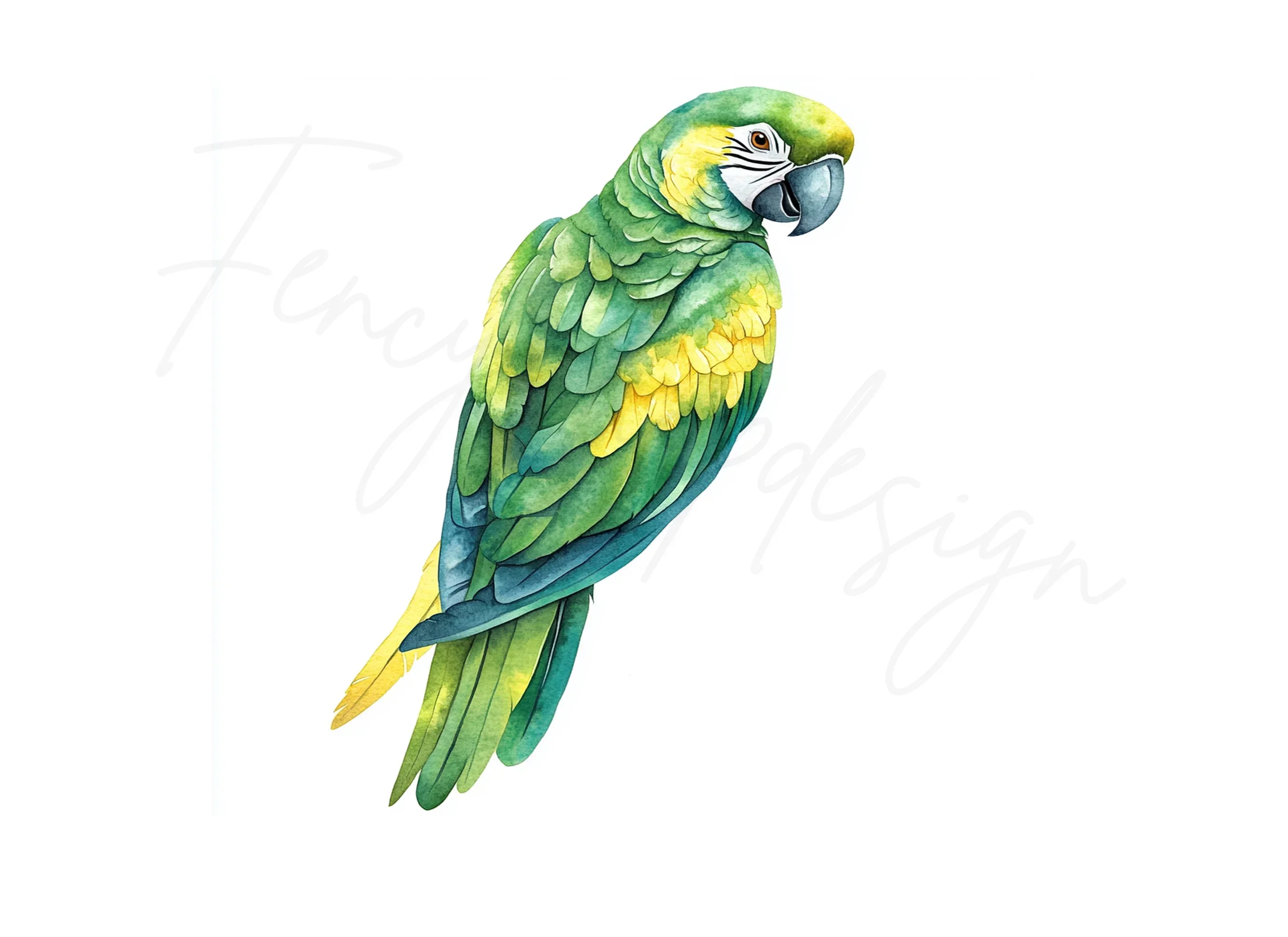 Vibrant Parrot Clipart Bundle - Image 2