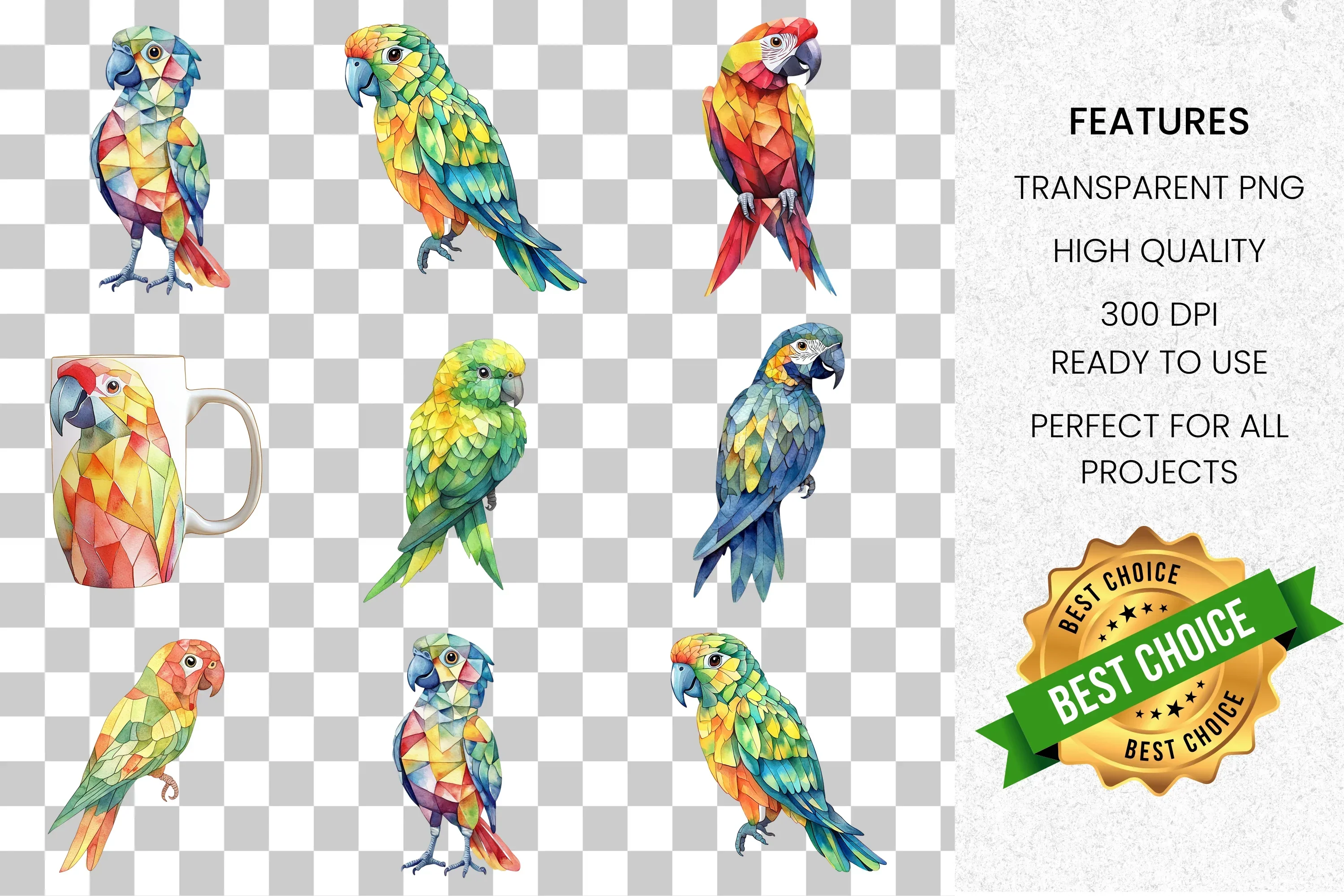 Vibrant Parrot Clipart Bundle - Image 8