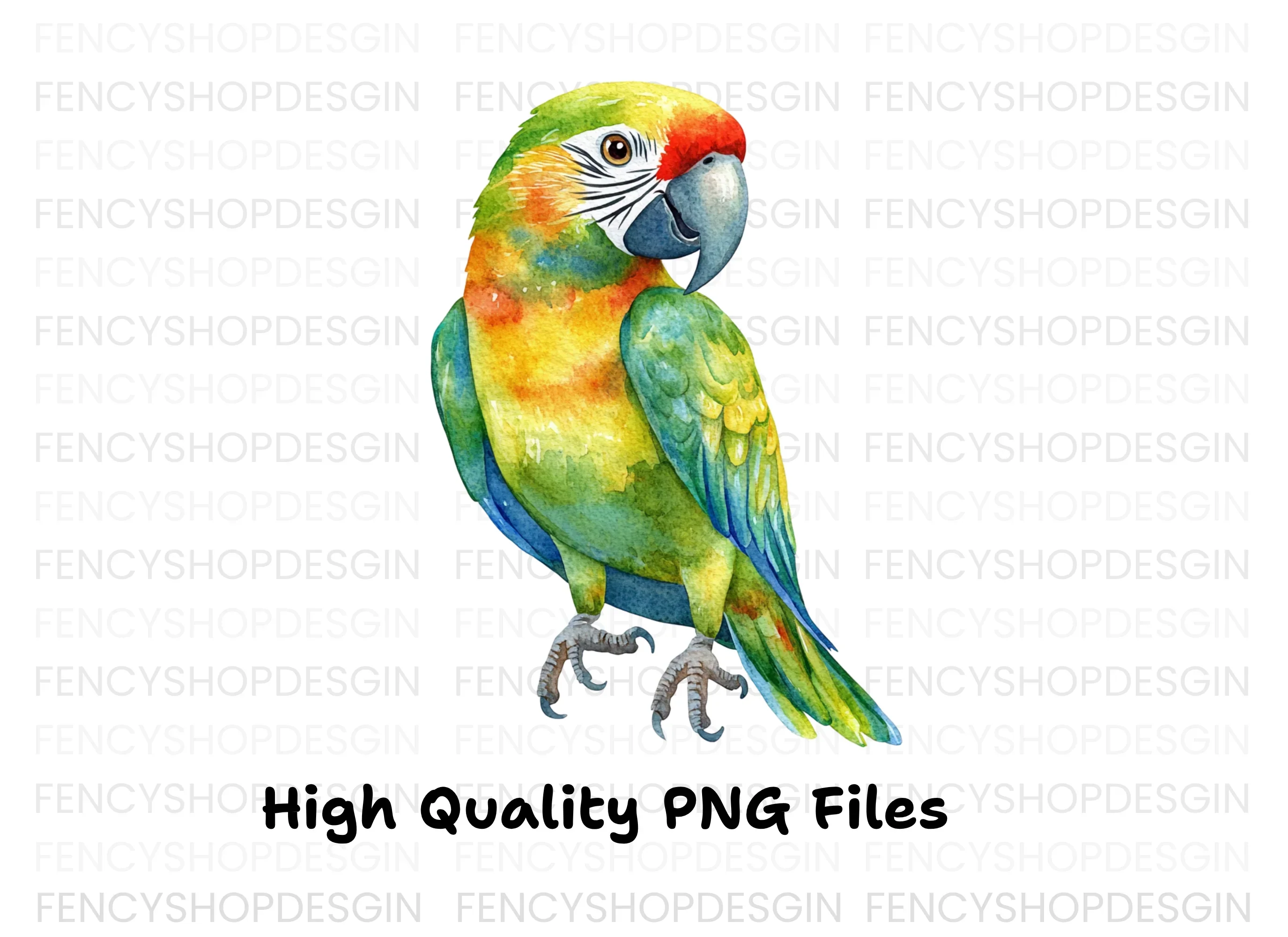 Vibrant Parrot Clipart Bundle - Image 3