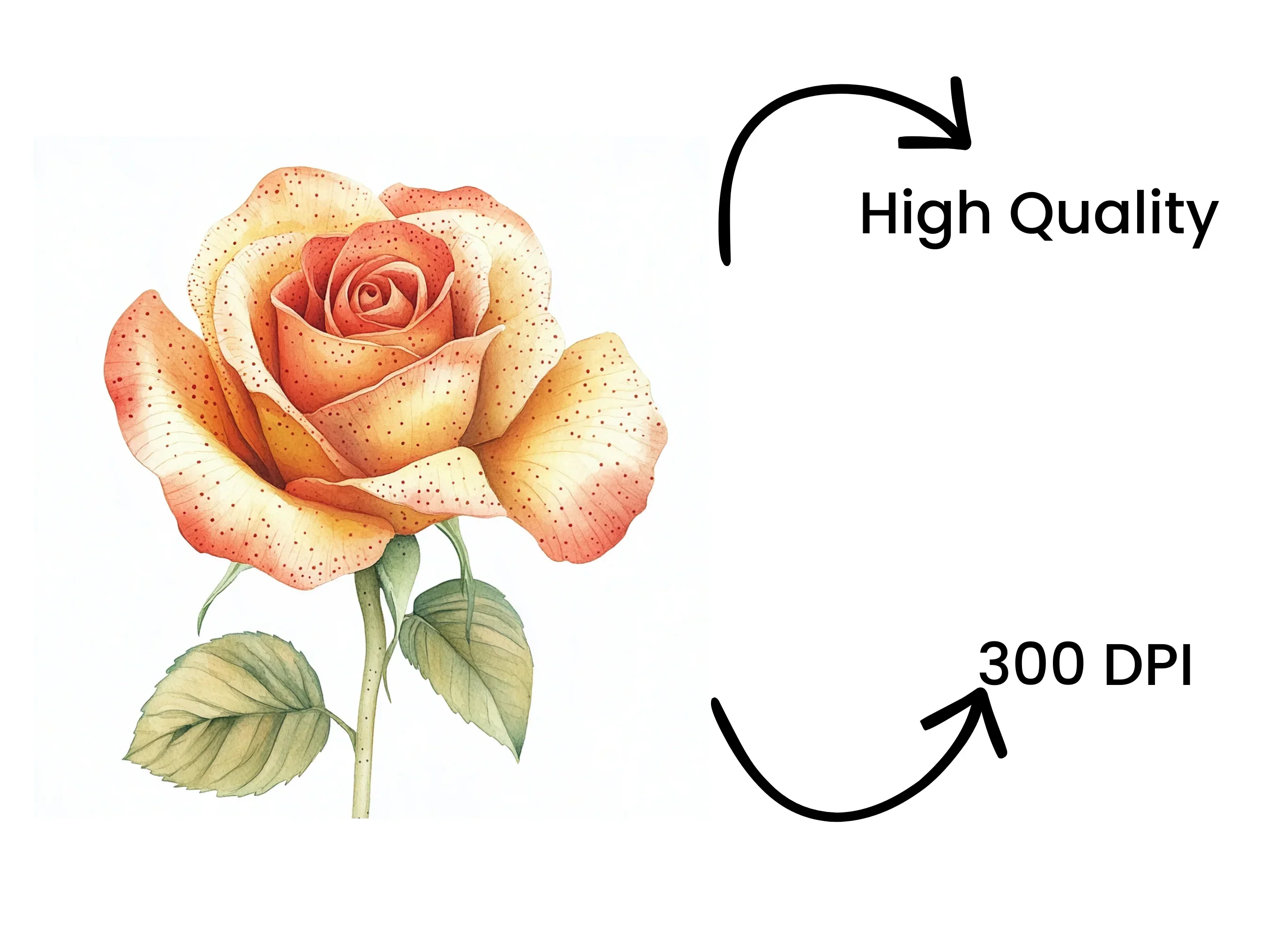 Vibrant Peach and Yellow Rose Clipart Bundle - Image 4