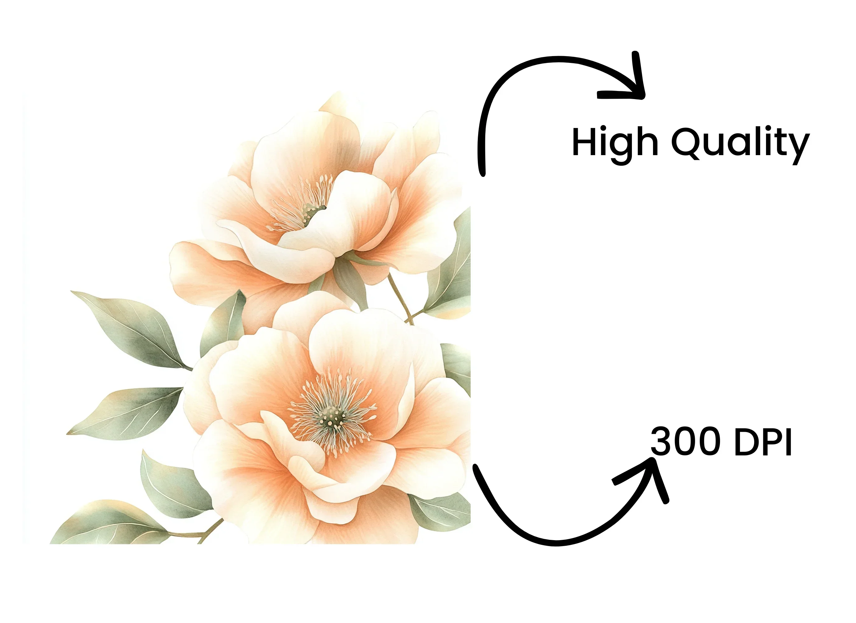 Vibrant Peach Flower Clipart Bundle - Image 4