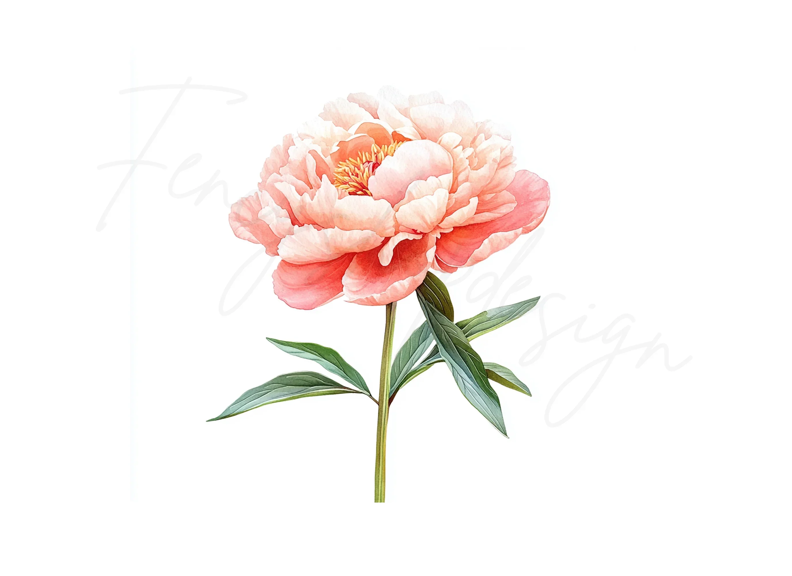 Vibrant Pink Peony Clipart Bundle - Image 3