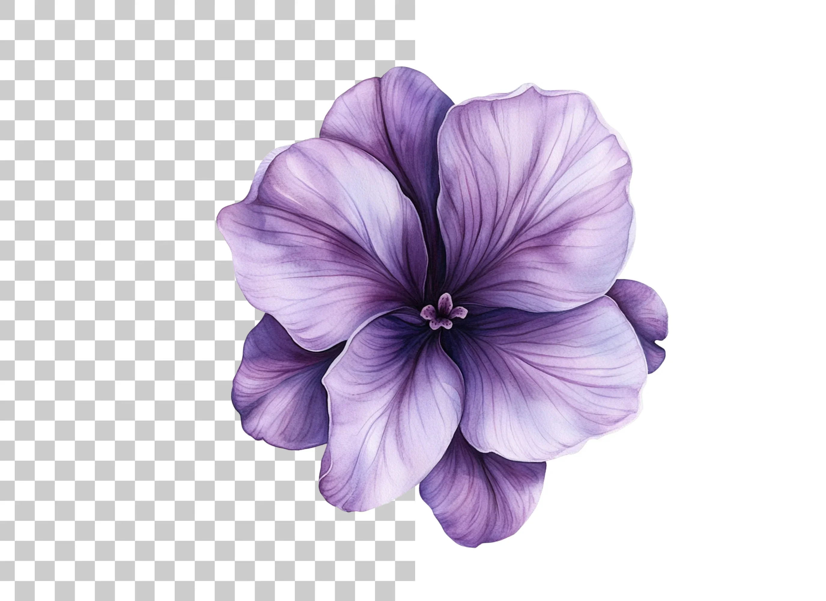 Vibrant Purple Geranium Clipart Bundle - Image 2
