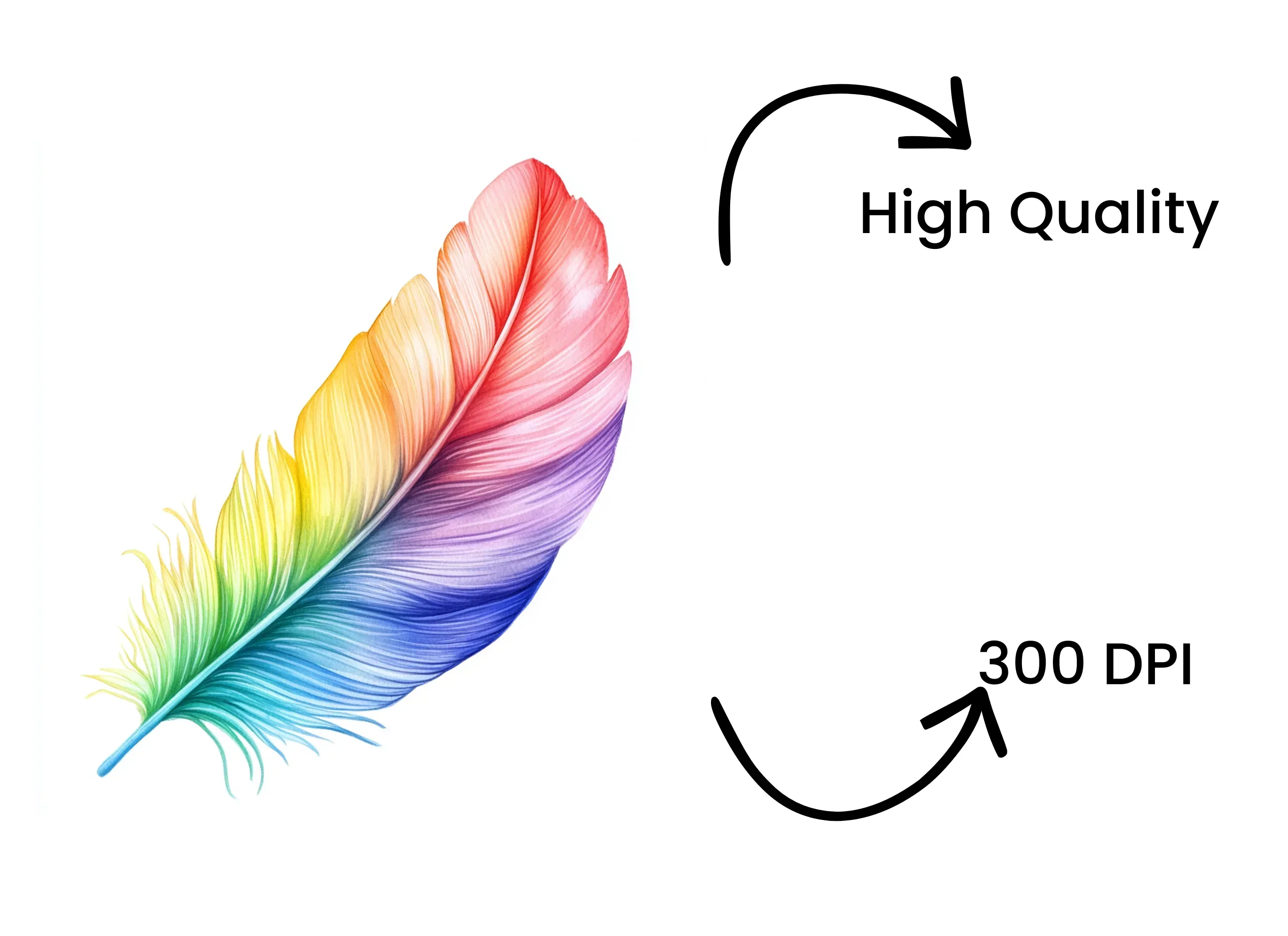 Vibrant Rainbow Feathers Clipart Bundle - Image 4