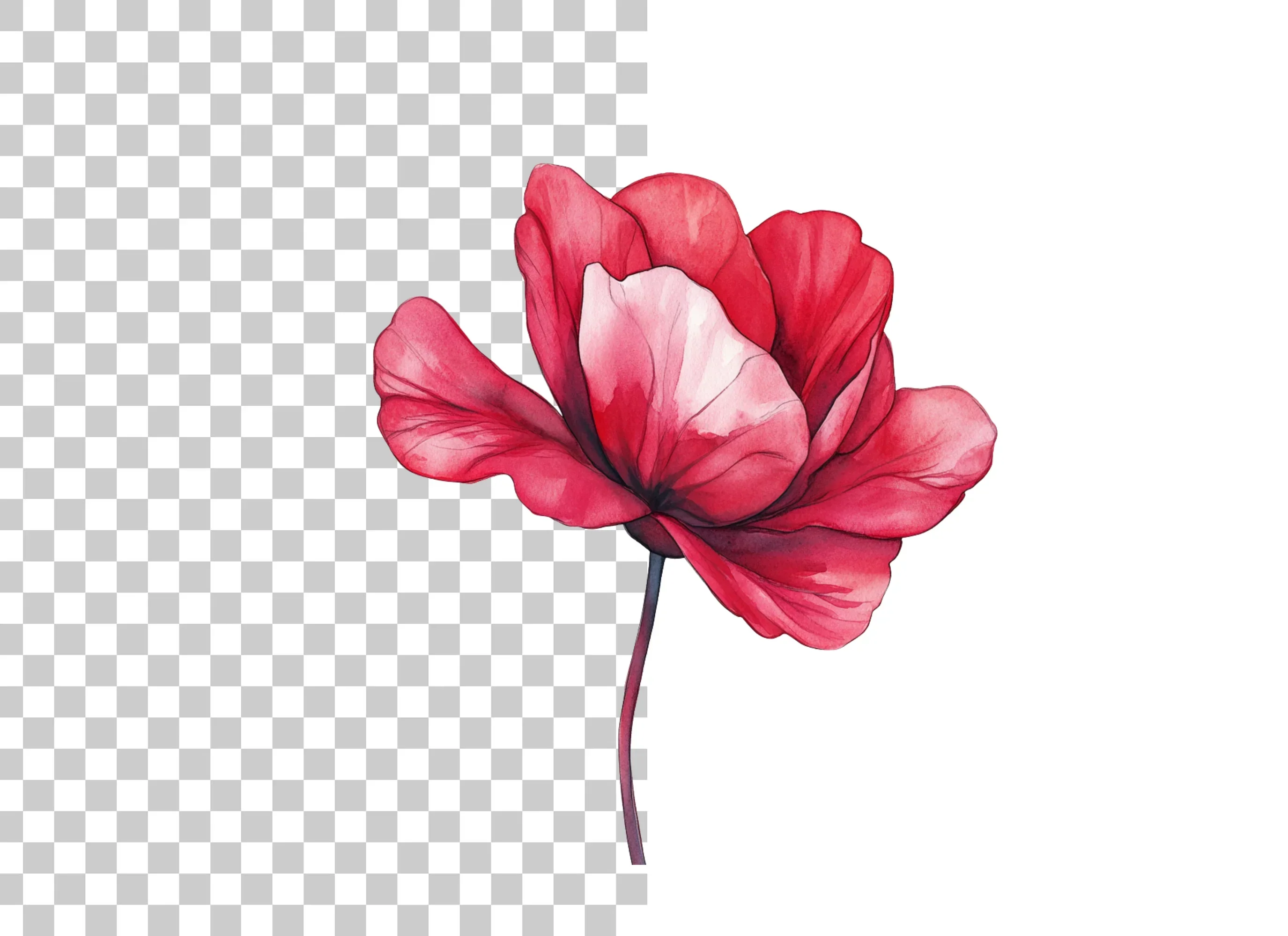 Vibrant Red Flower Clipart Bundle - Image 6