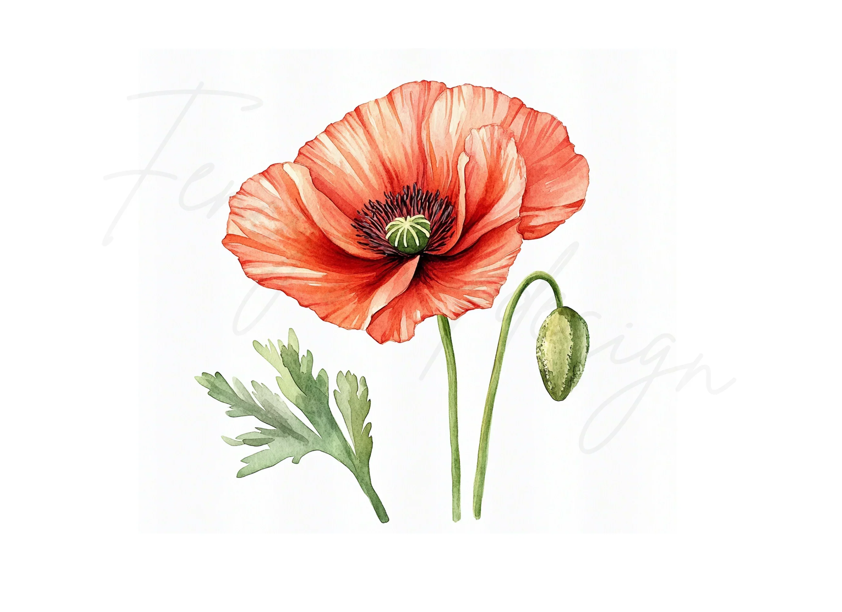 Vibrant Red Poppy Clipart Bundle - Image 2