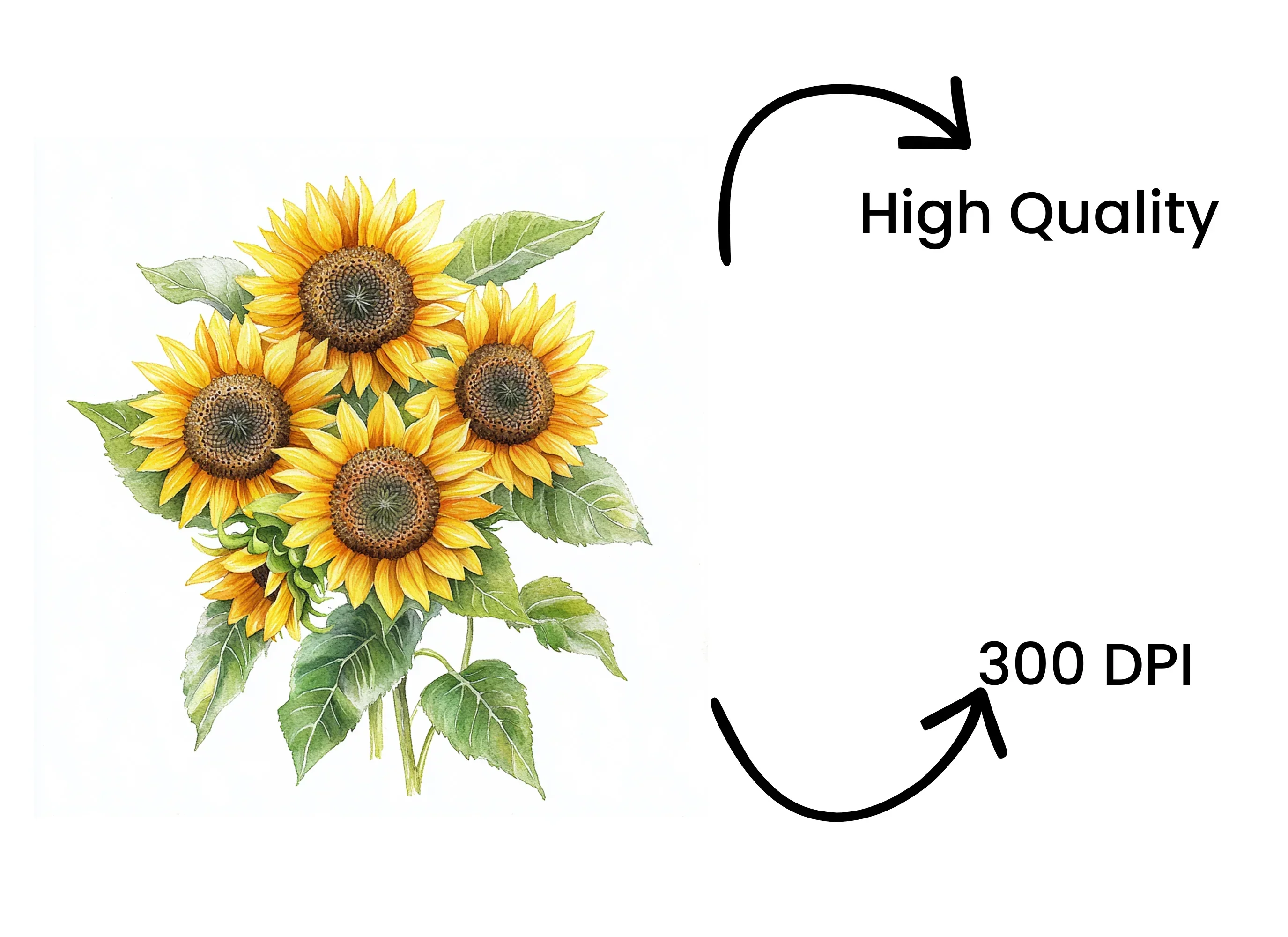 Vibrant Sunflower Bouquets Clipart Bundle - Image 4