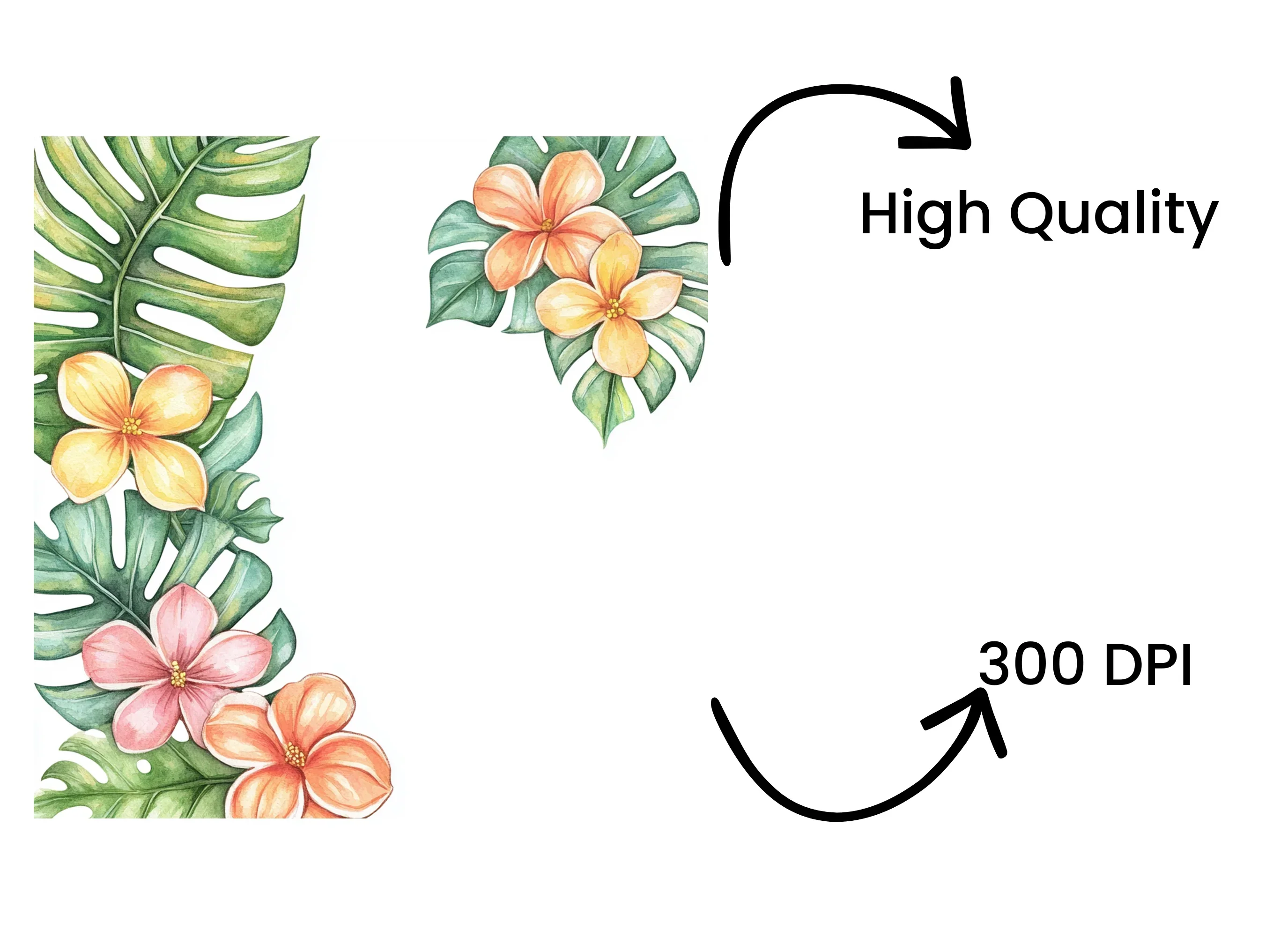 Vibrant Tropical Flowers and Leaves Clipart Bundle - Image 4