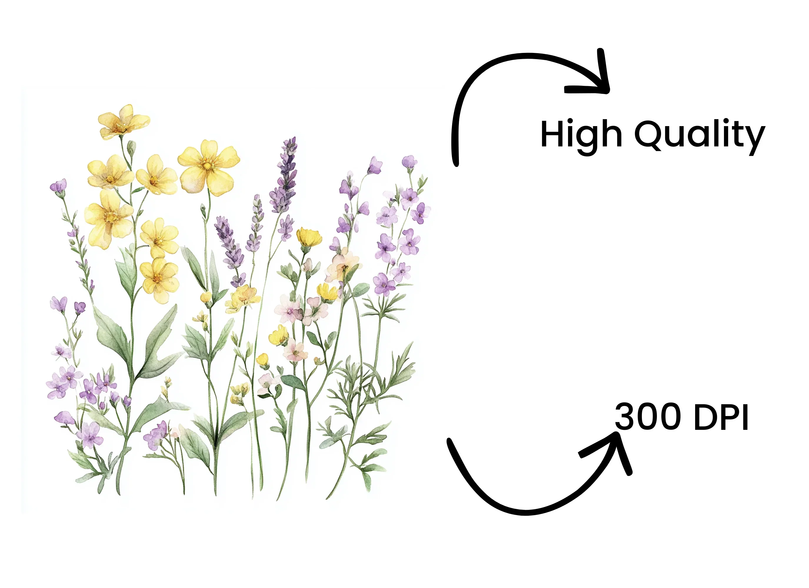 Vibrant Wildflower Clipart Bundle - Image 4