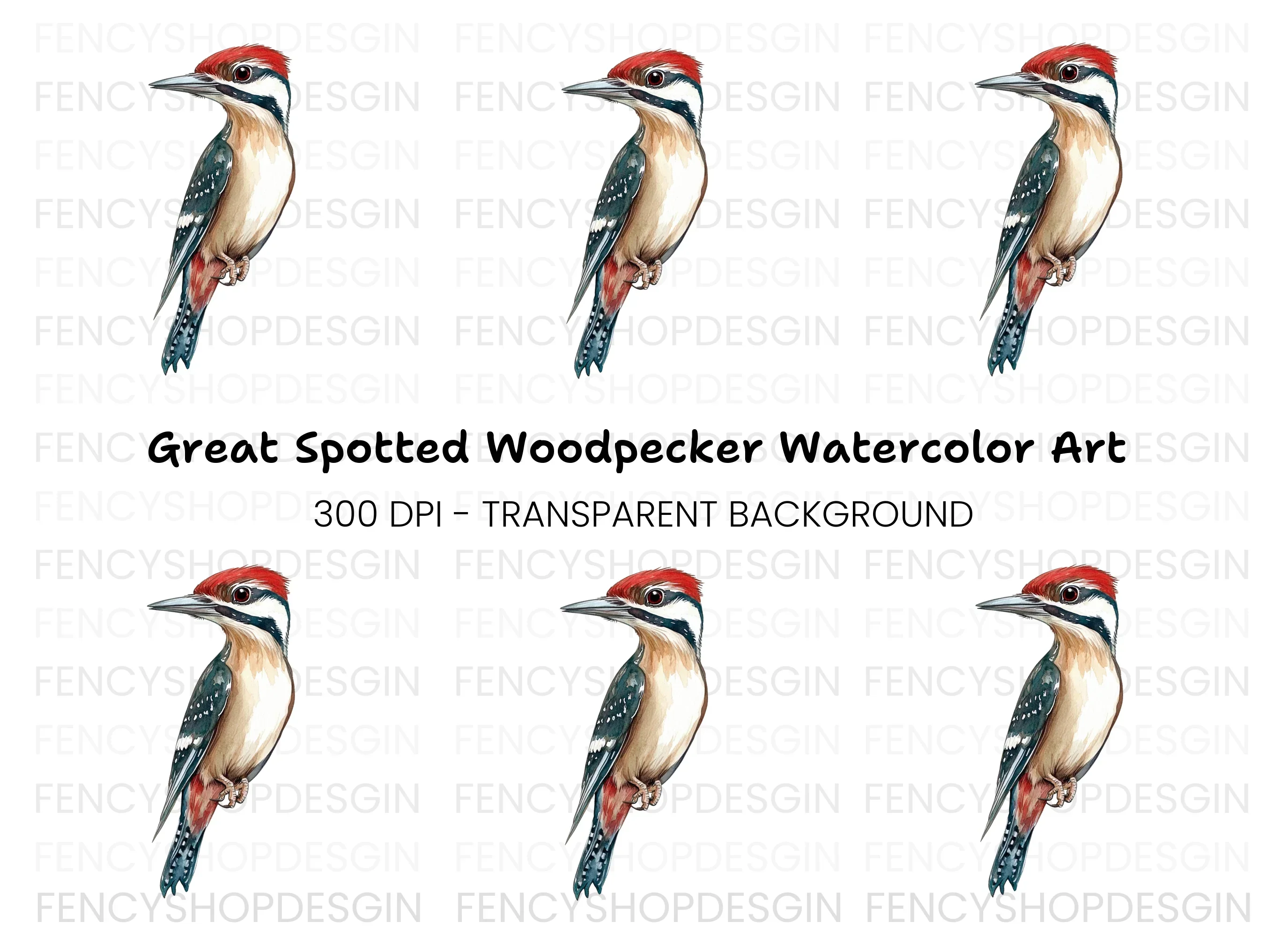 Vibrant Woodpecker Clipart Bundle