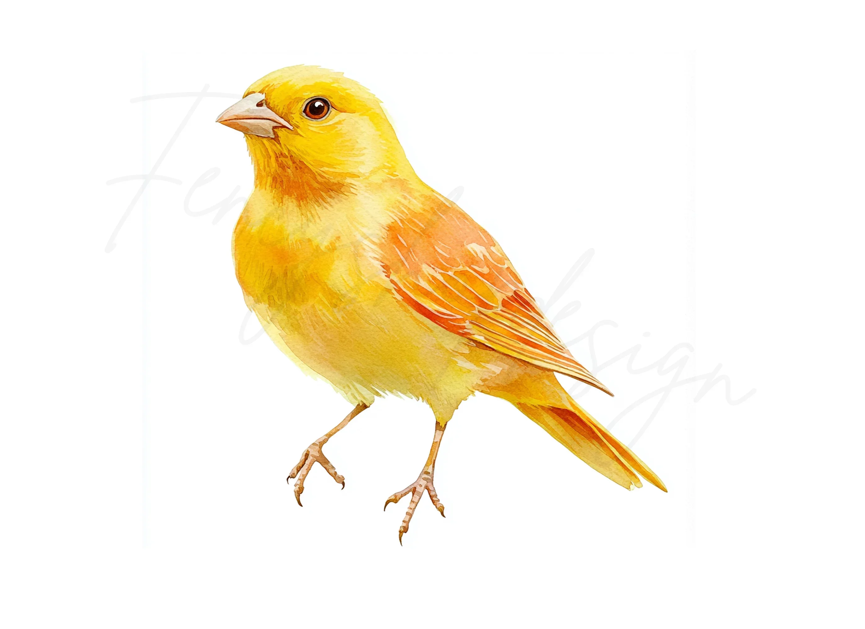 Vibrant Yellow Canary Bird Clipart Bundle - Image 3