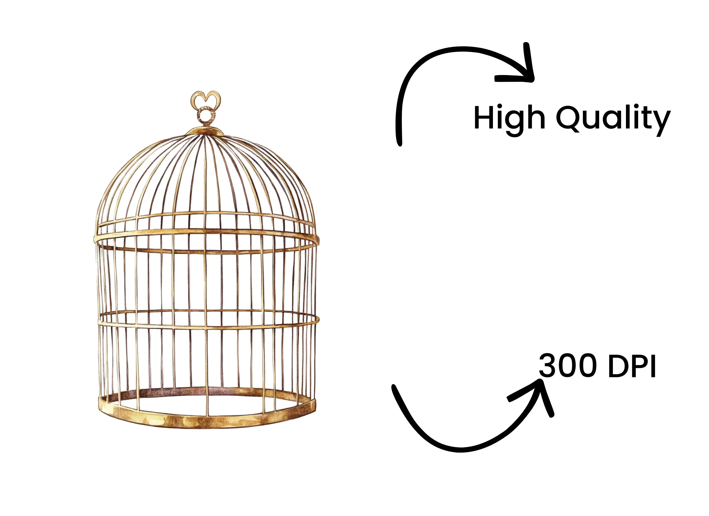 Vintage Bird Cages Clipart Bundle - Image 4