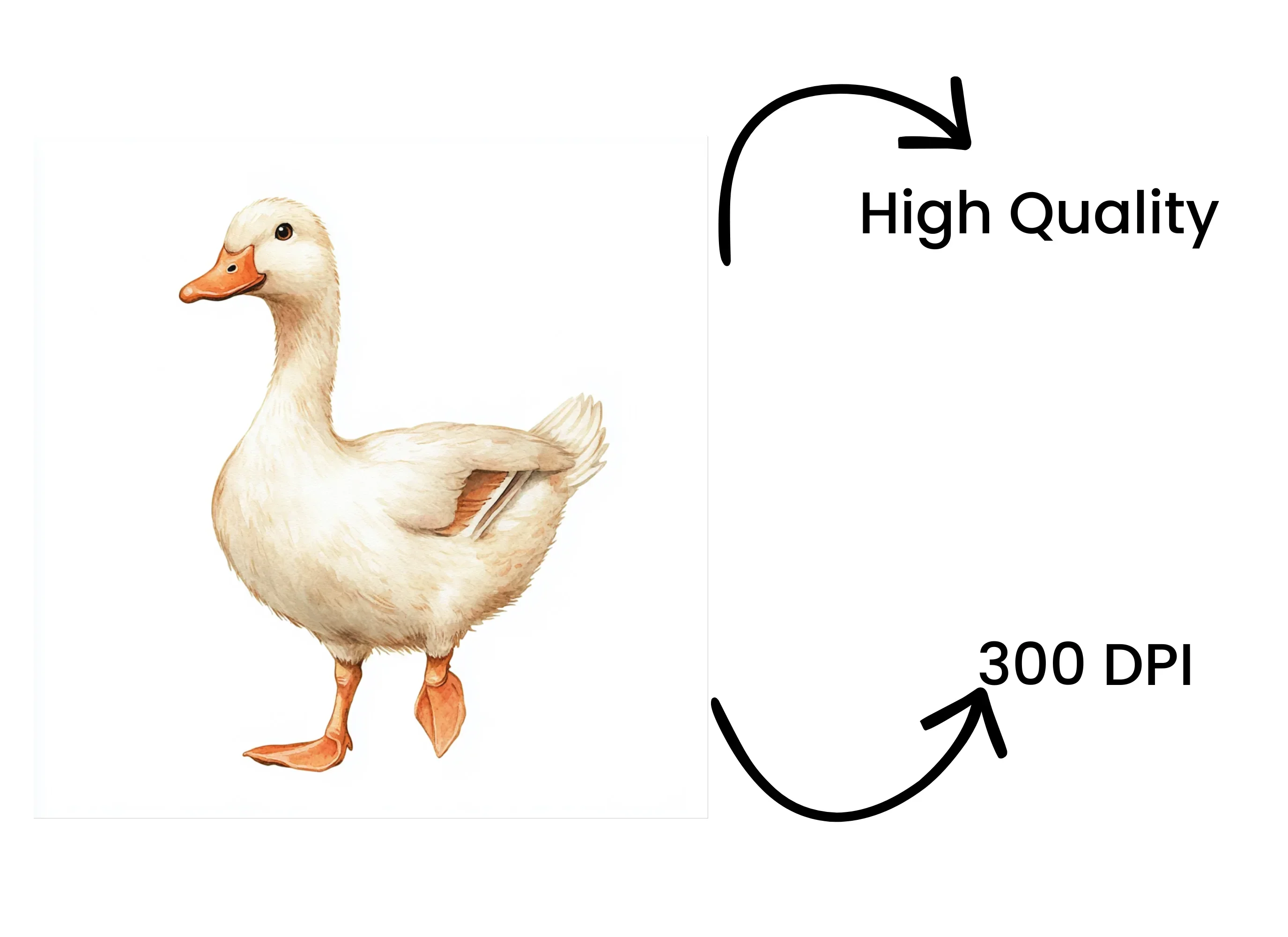 Walking Duck Clipart Bundle - Image 4