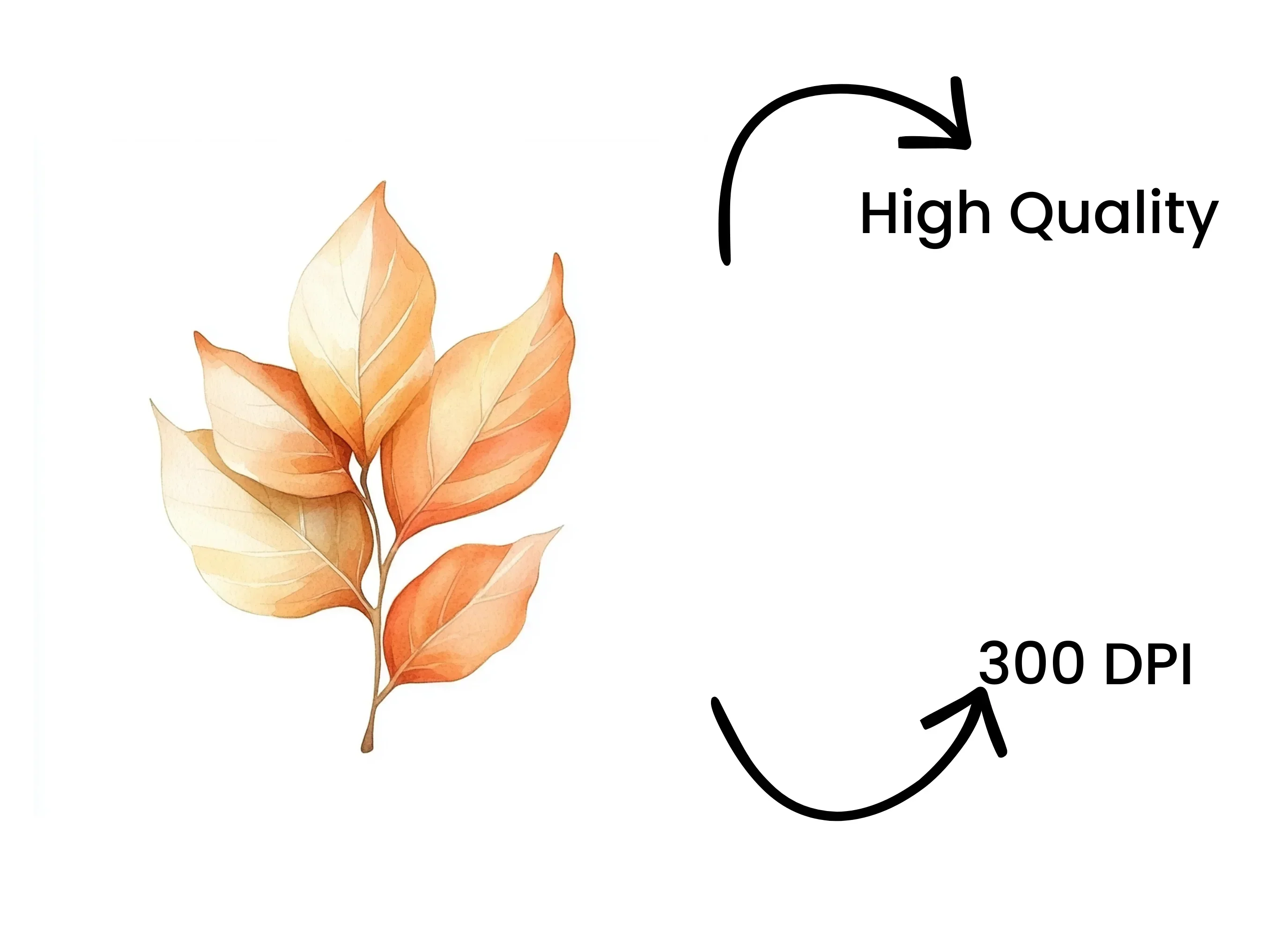 Warm Toned Autumn Leaf Branches Clipart Bundle - Image 4